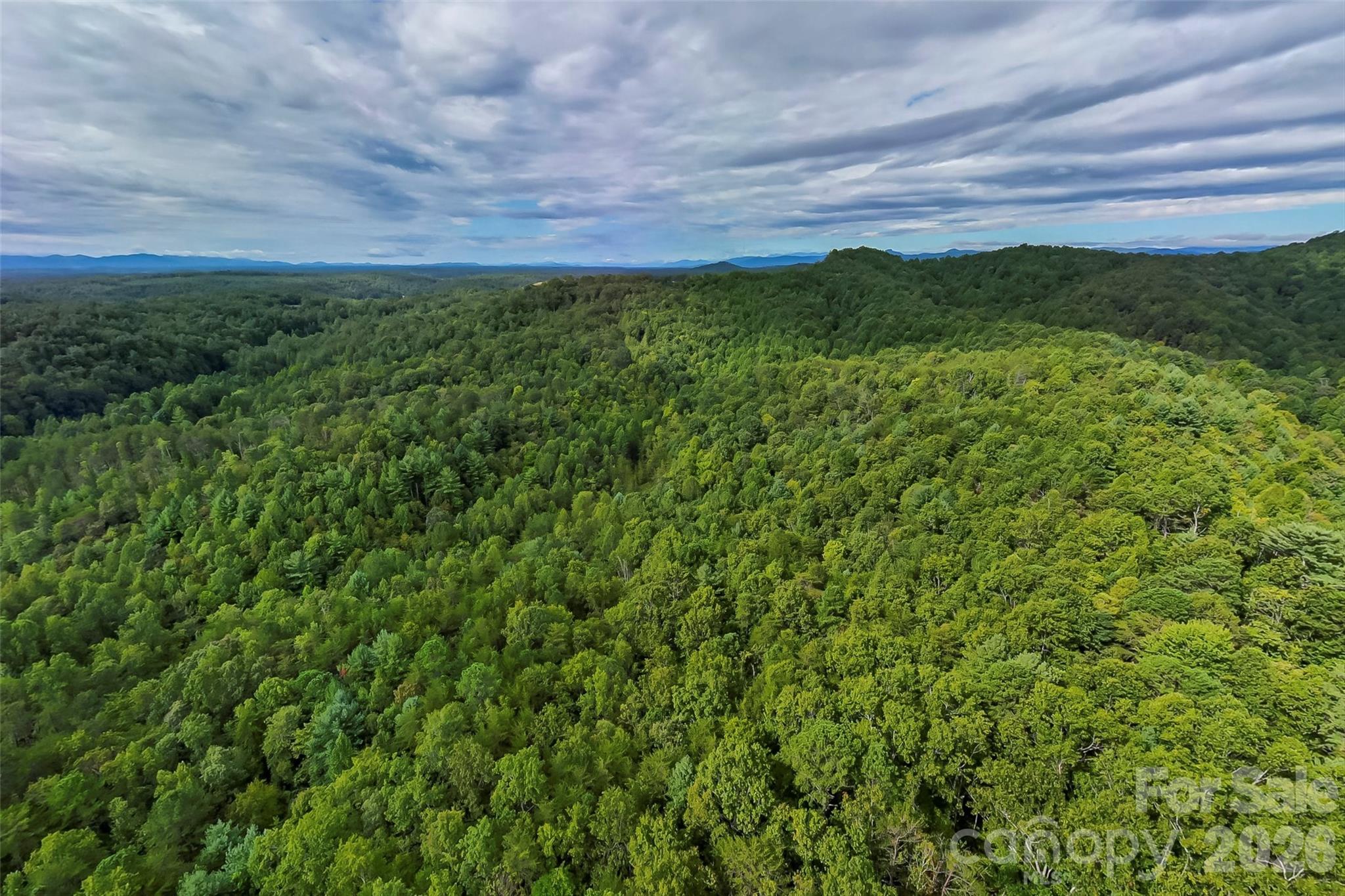 Lot at 2636 Cheraw Road, Lenoir, photo 6 of 7