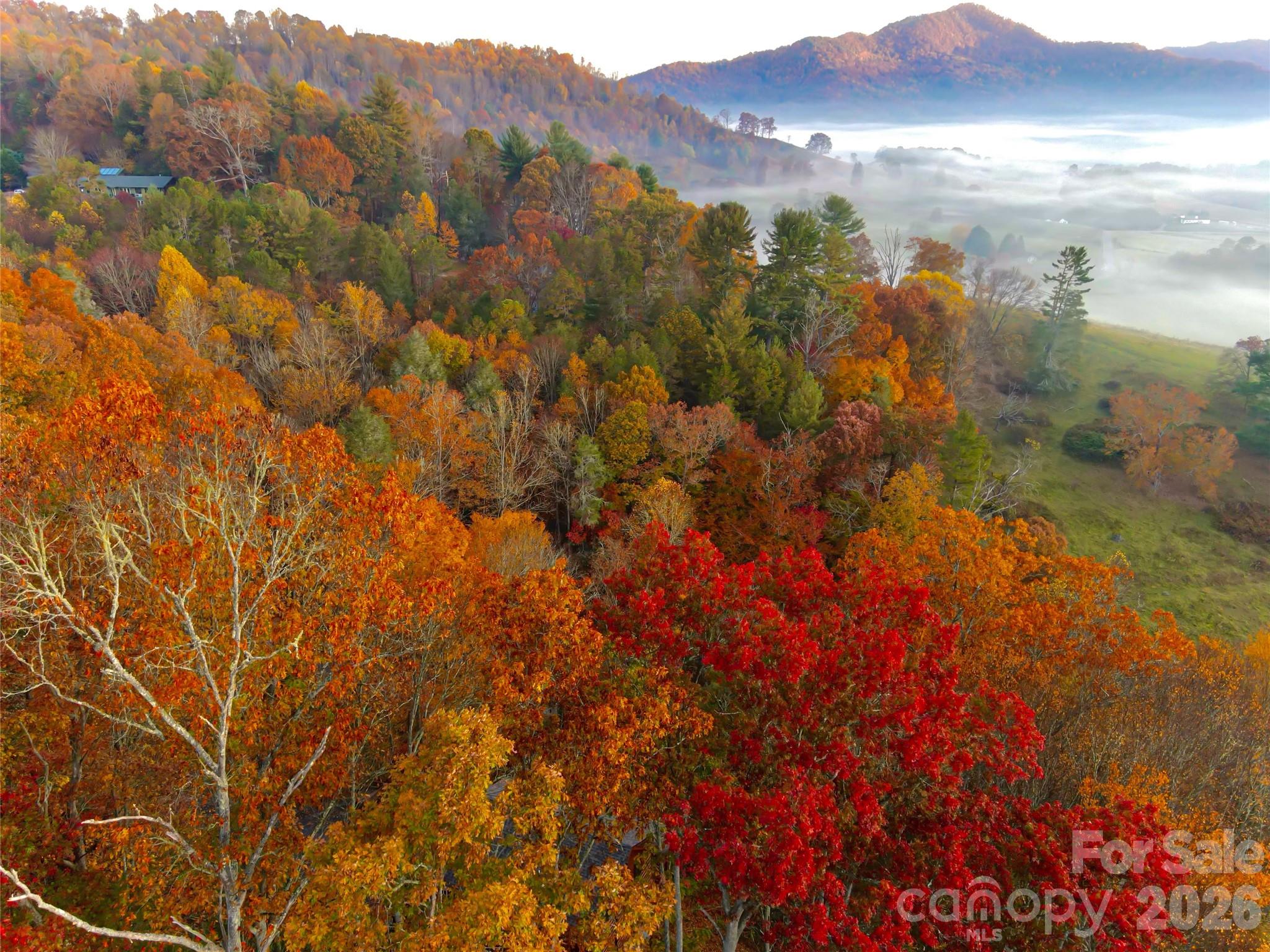 999 Coyote Hollow Road