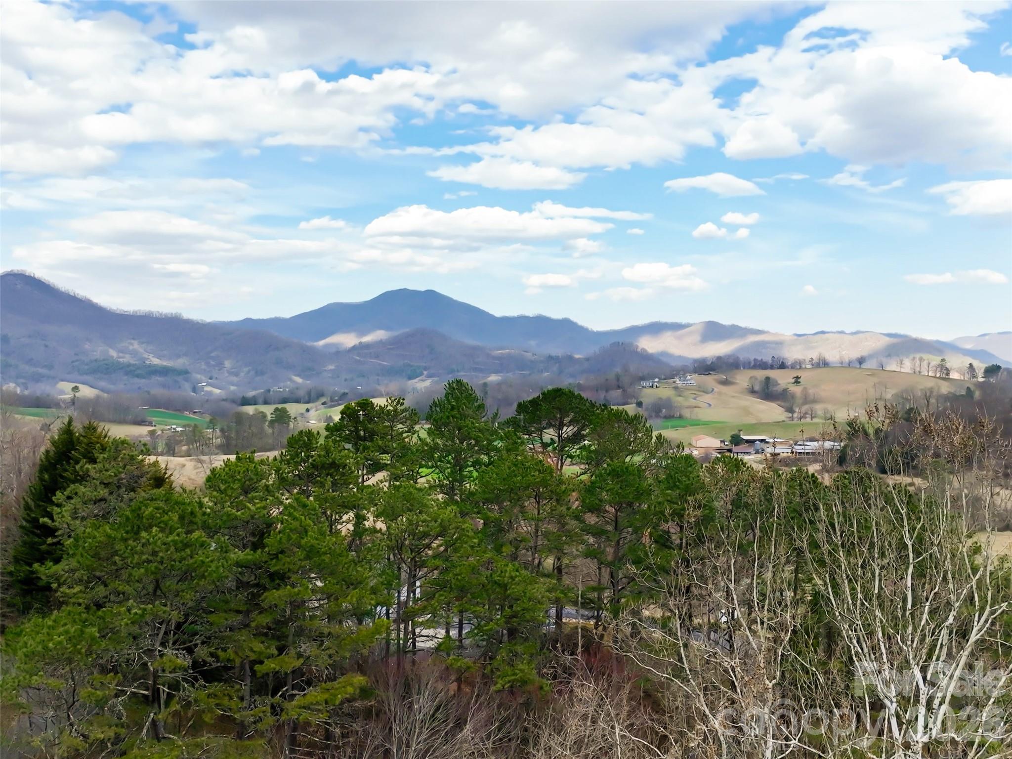 Lot at 999 Coyote Hollow Road, Waynesville, photo 3 of 10