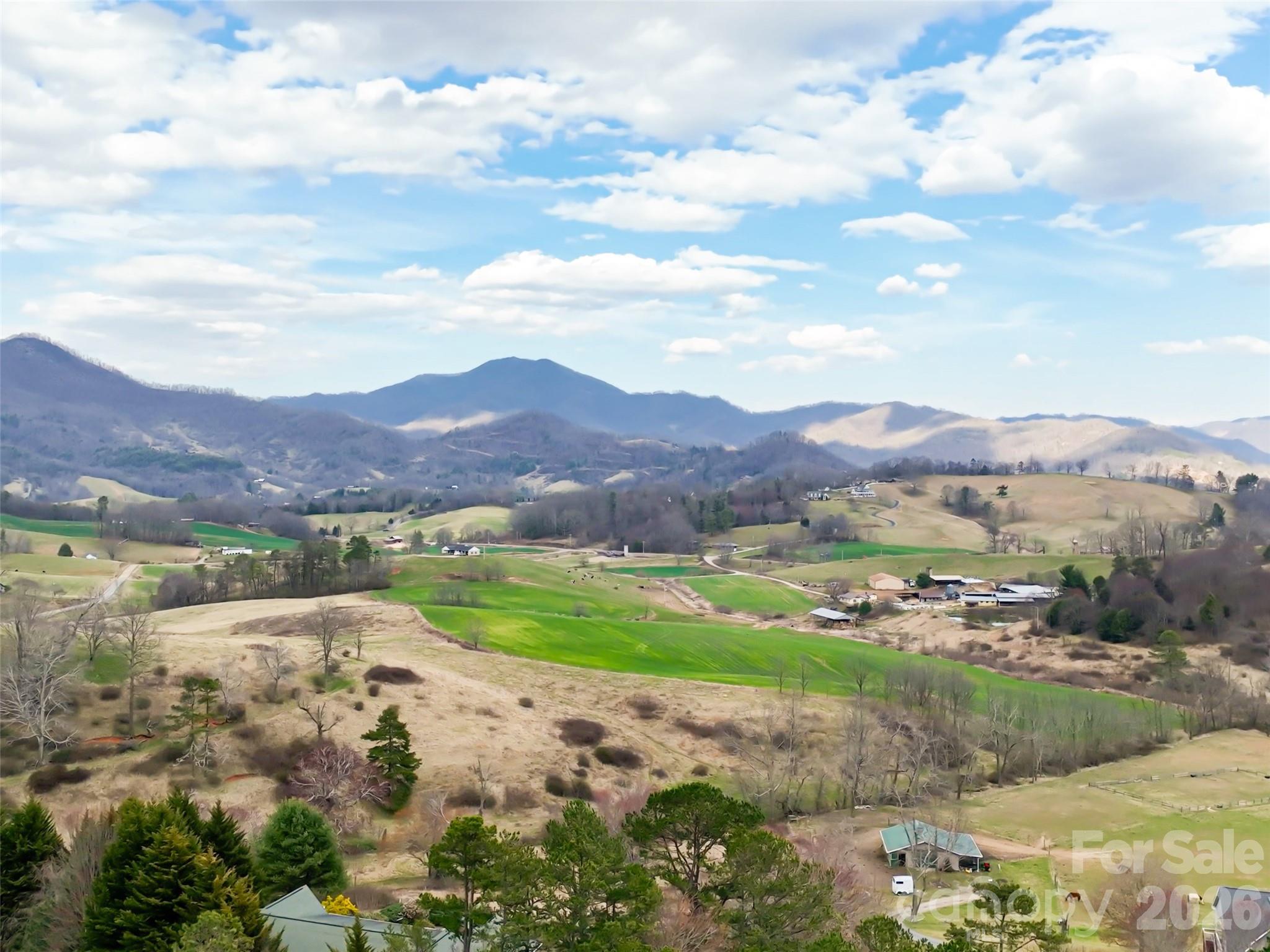 potential view of ironduff valley - 999 Coyote Hollow Road, Waynesville