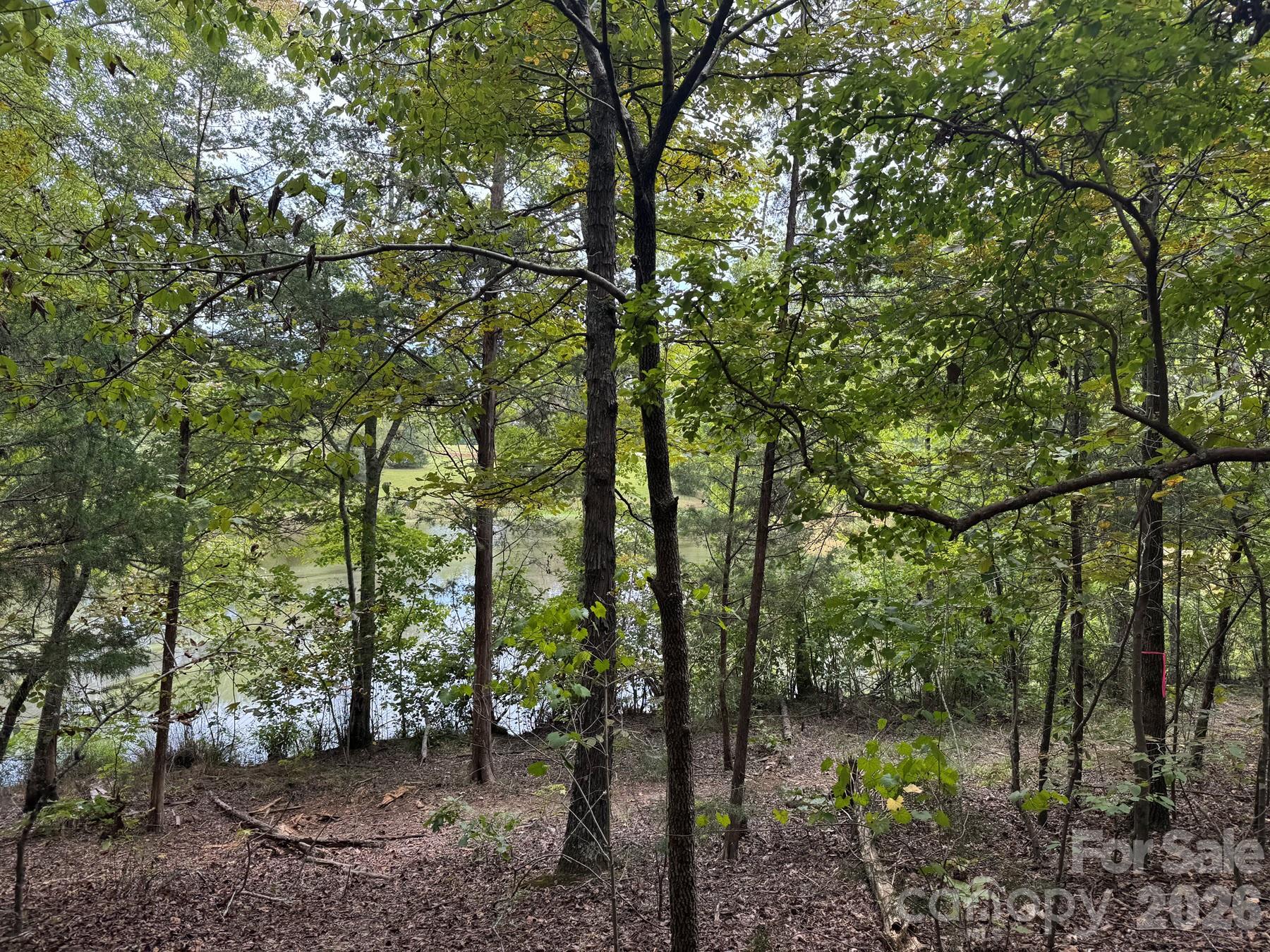 View of pond from homesite - 357 Pendergrass Road, York