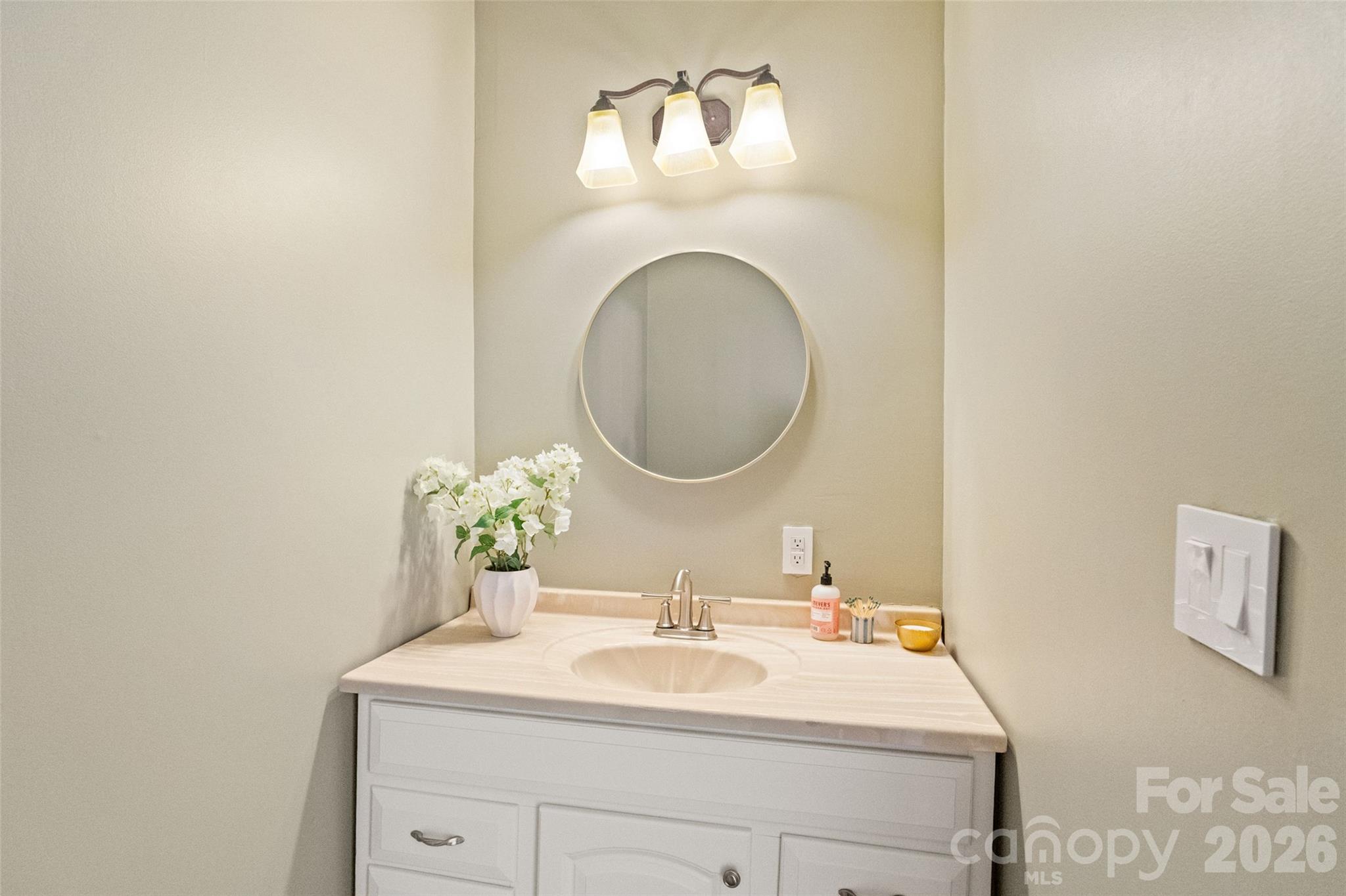 Your guest worthy main-level powder room - 233 Marion Street, Rock Hill