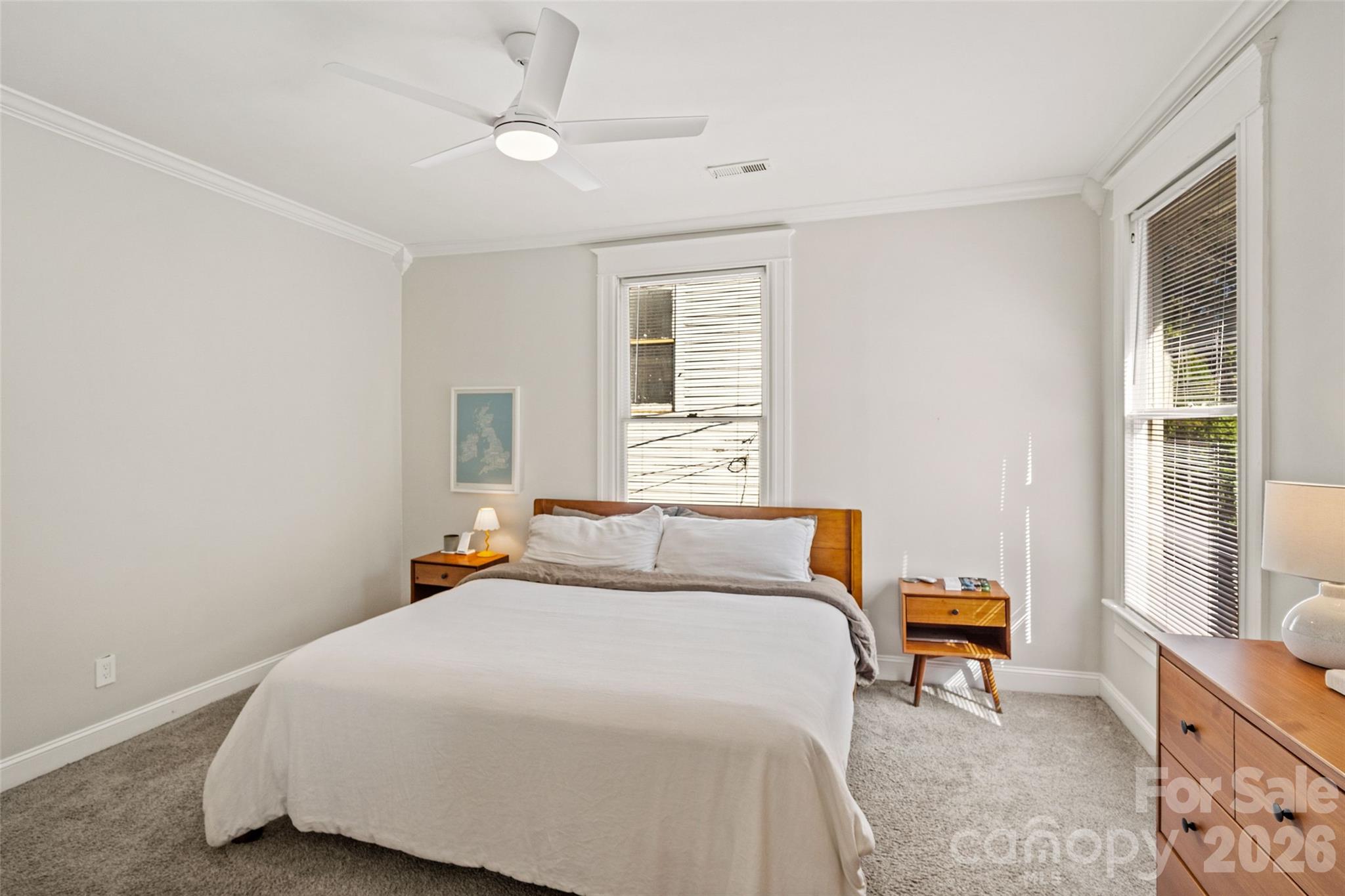 Crown molding and classic trim - 233 Marion Street, Rock Hill