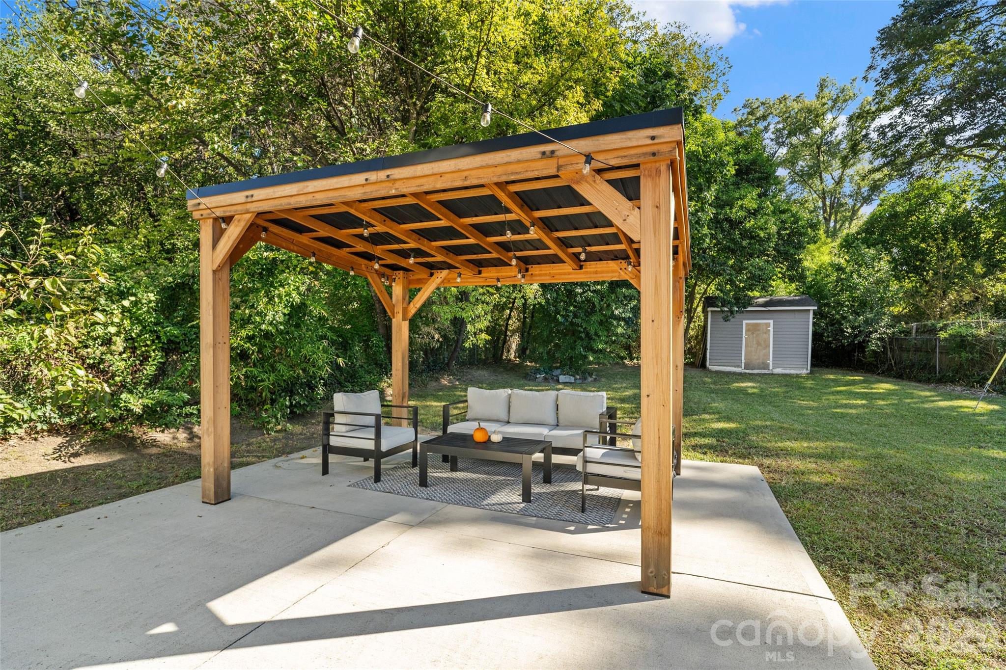 Covered pergola with string lights conveys - 233 Marion Street, Rock Hill