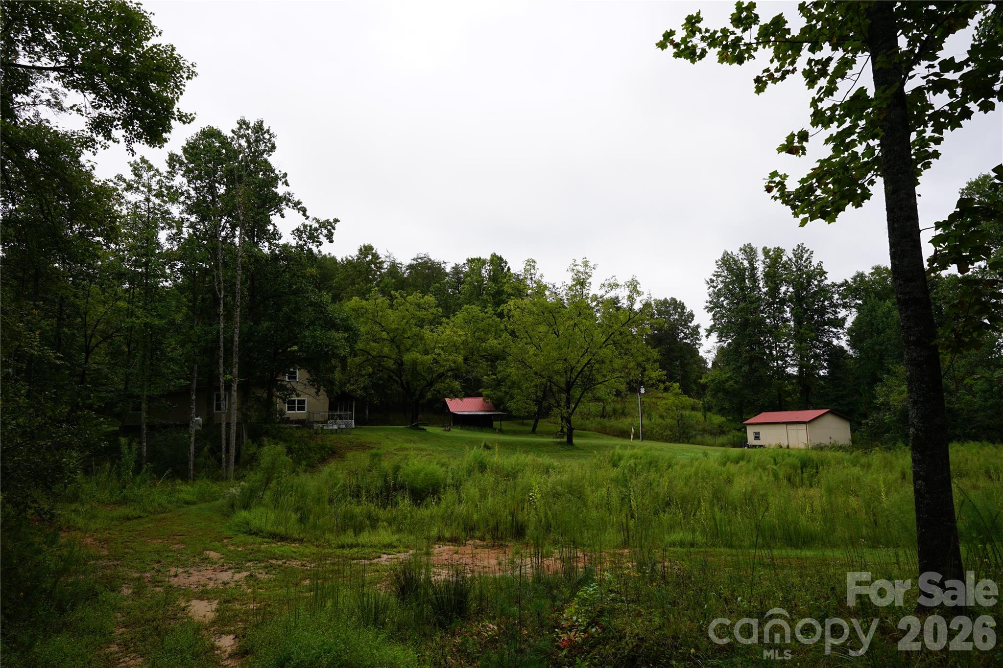 Single Family Residence at 1239 W McGuinn Road, Mill Spring, photo 46 of 53