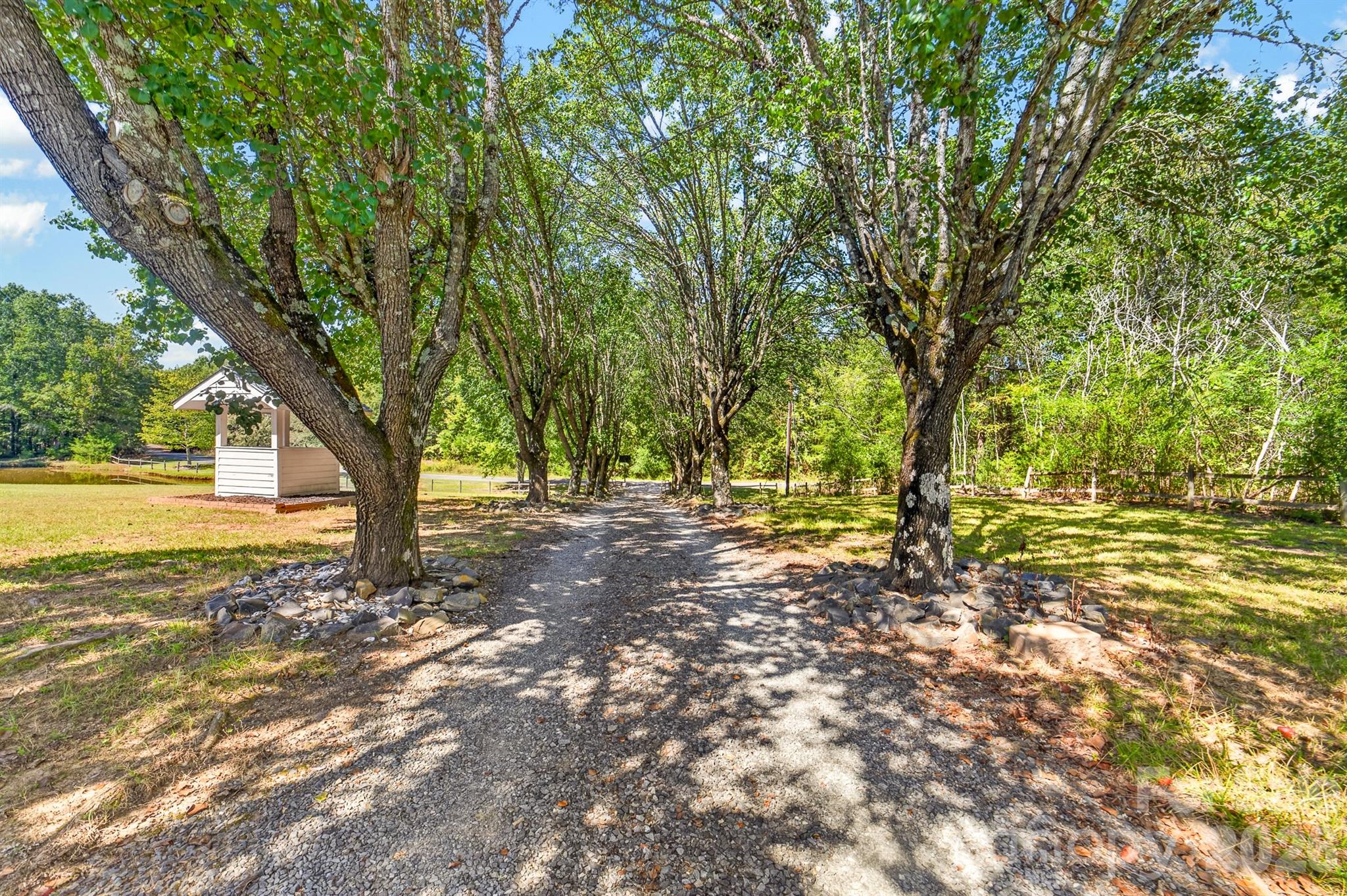 Beautiful tree lined driveway - 9702 Quail Cove Court, Indian Trail