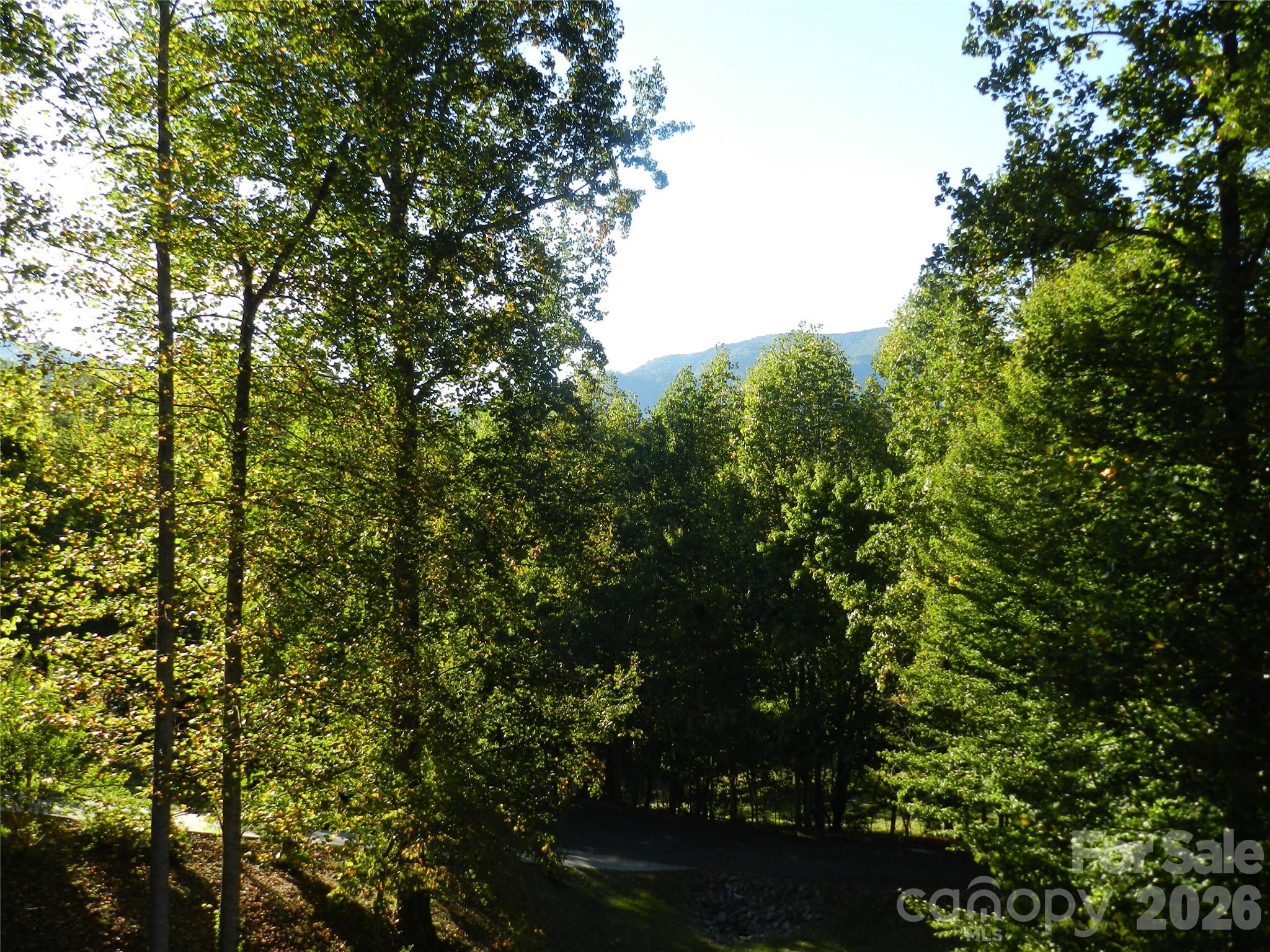 Mountain View From Front Deck - 3 Lauren Lane, Candler