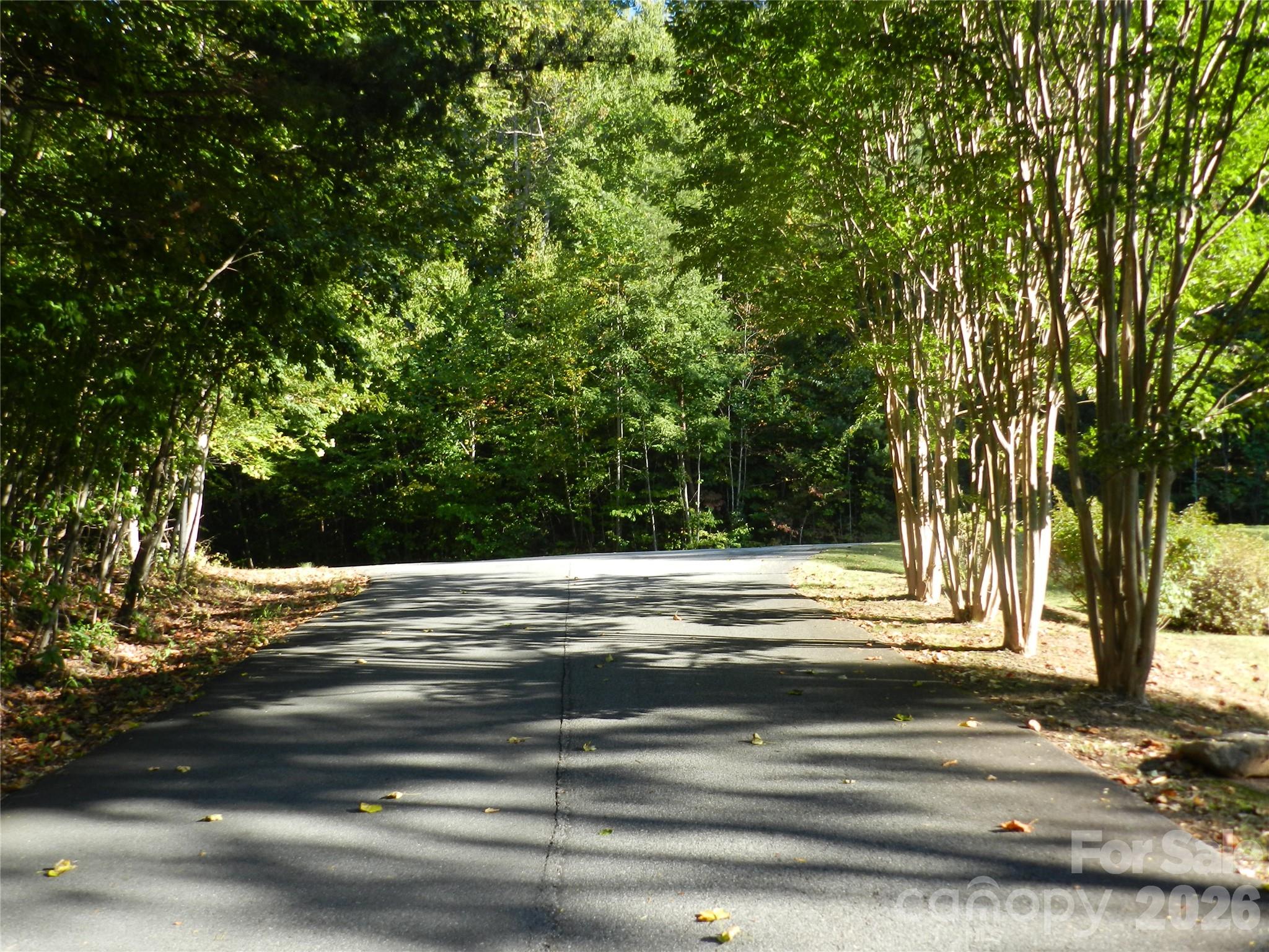 Street View 1 - 3 Lauren Lane, Candler