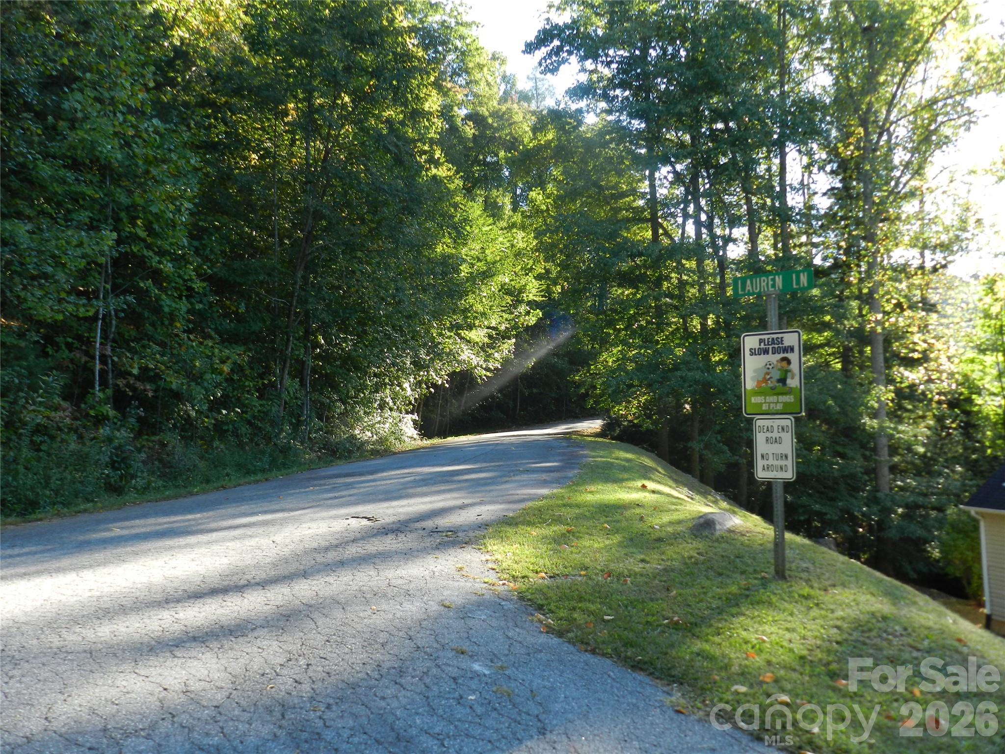 Street View 2 - 3 Lauren Lane, Candler