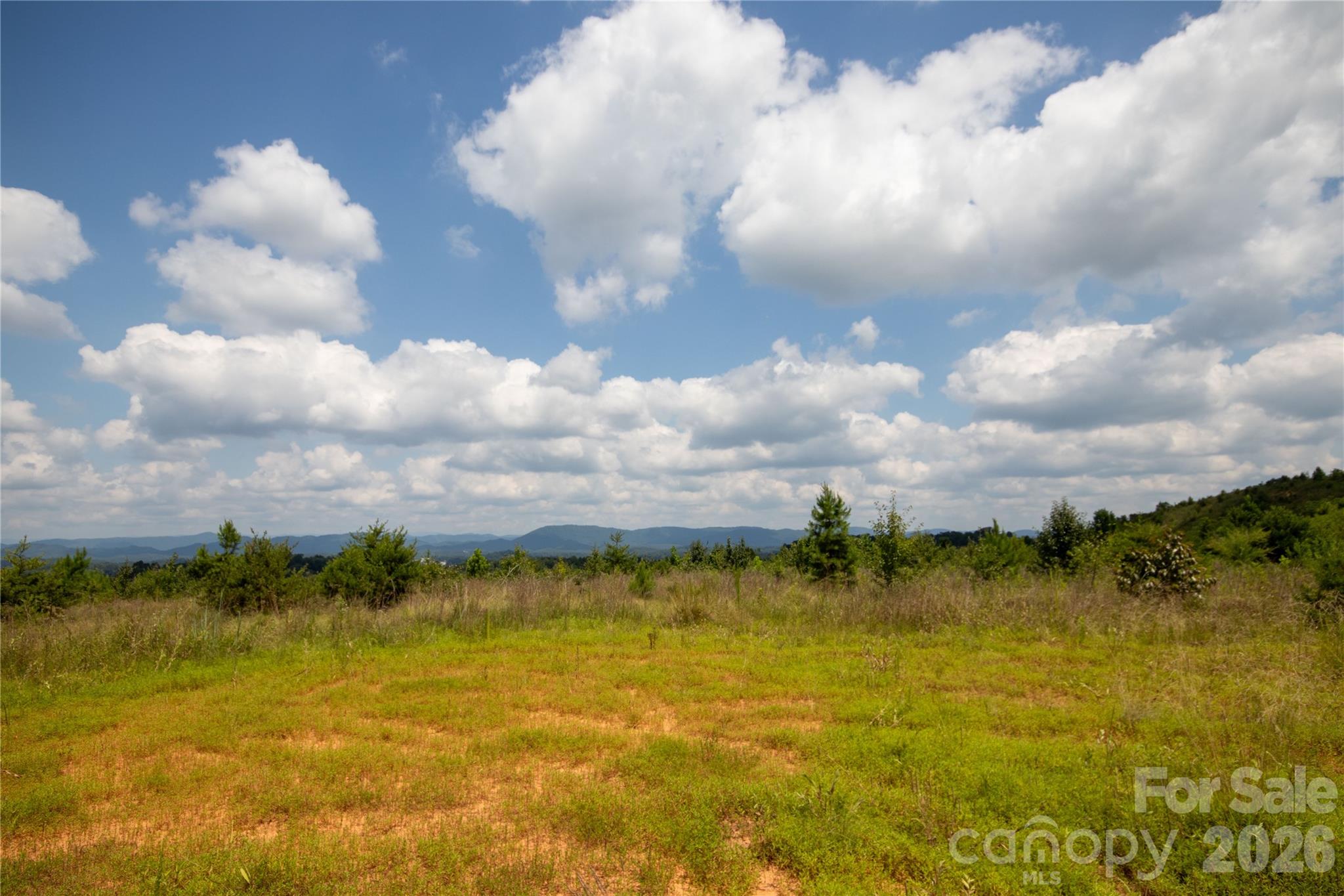 Unimproved Commercial at TBD Hickory Boulevard, Lenoir, photo 4 of 34