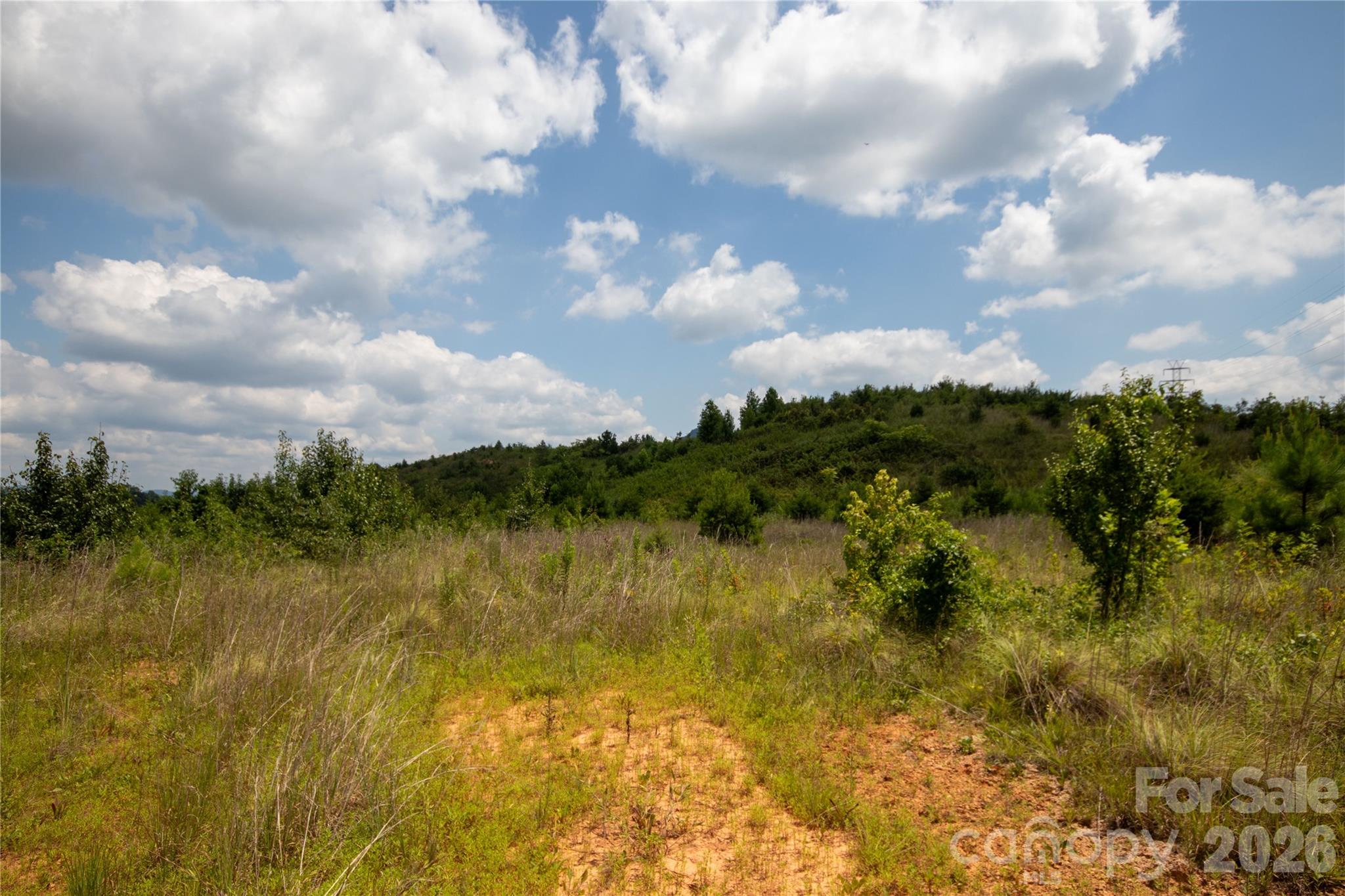 Unimproved Commercial at TBD Hickory Boulevard, Lenoir, photo 6 of 34