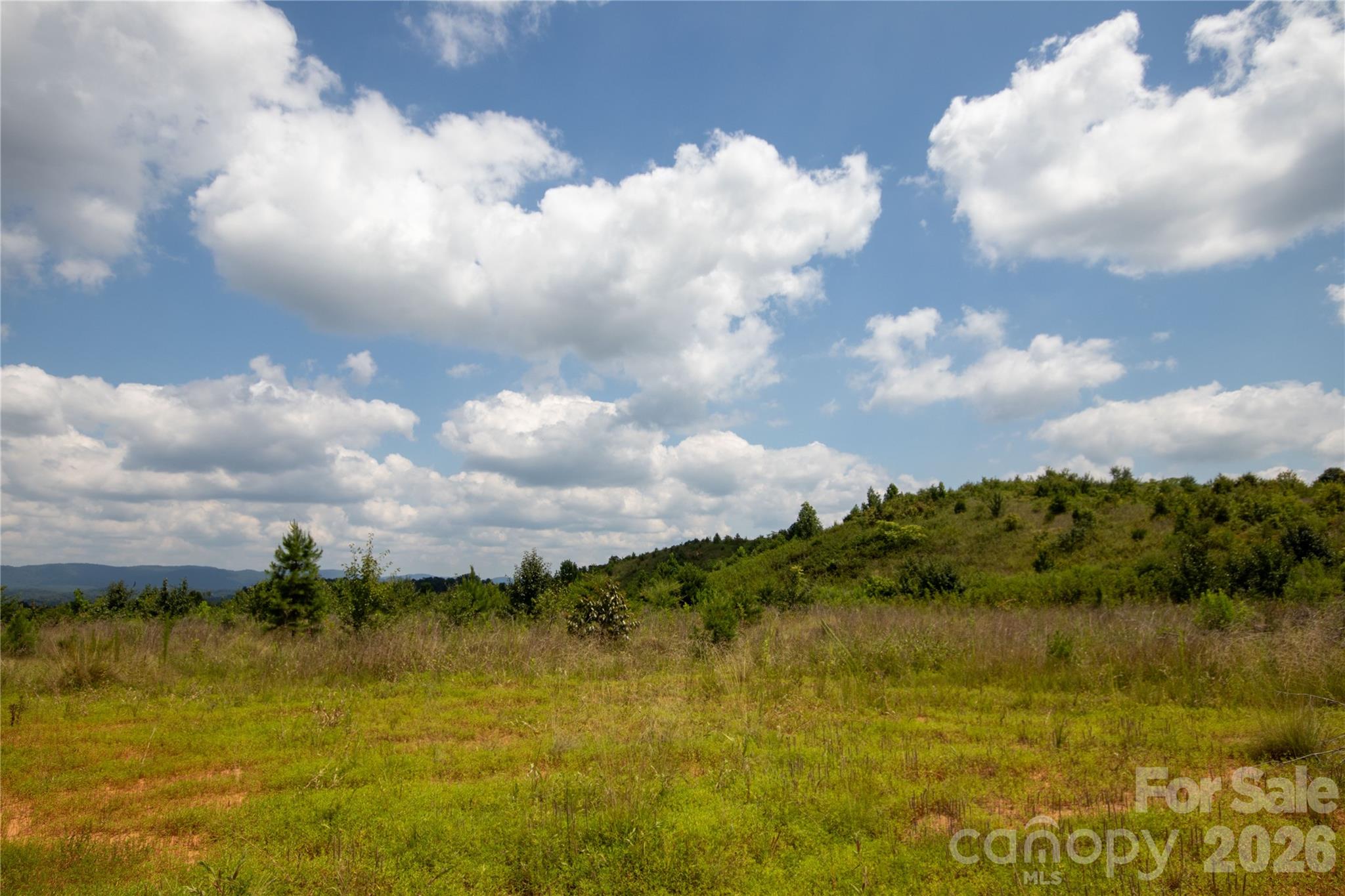 Unimproved Commercial at TBD Hickory Boulevard, Lenoir, photo 7 of 34