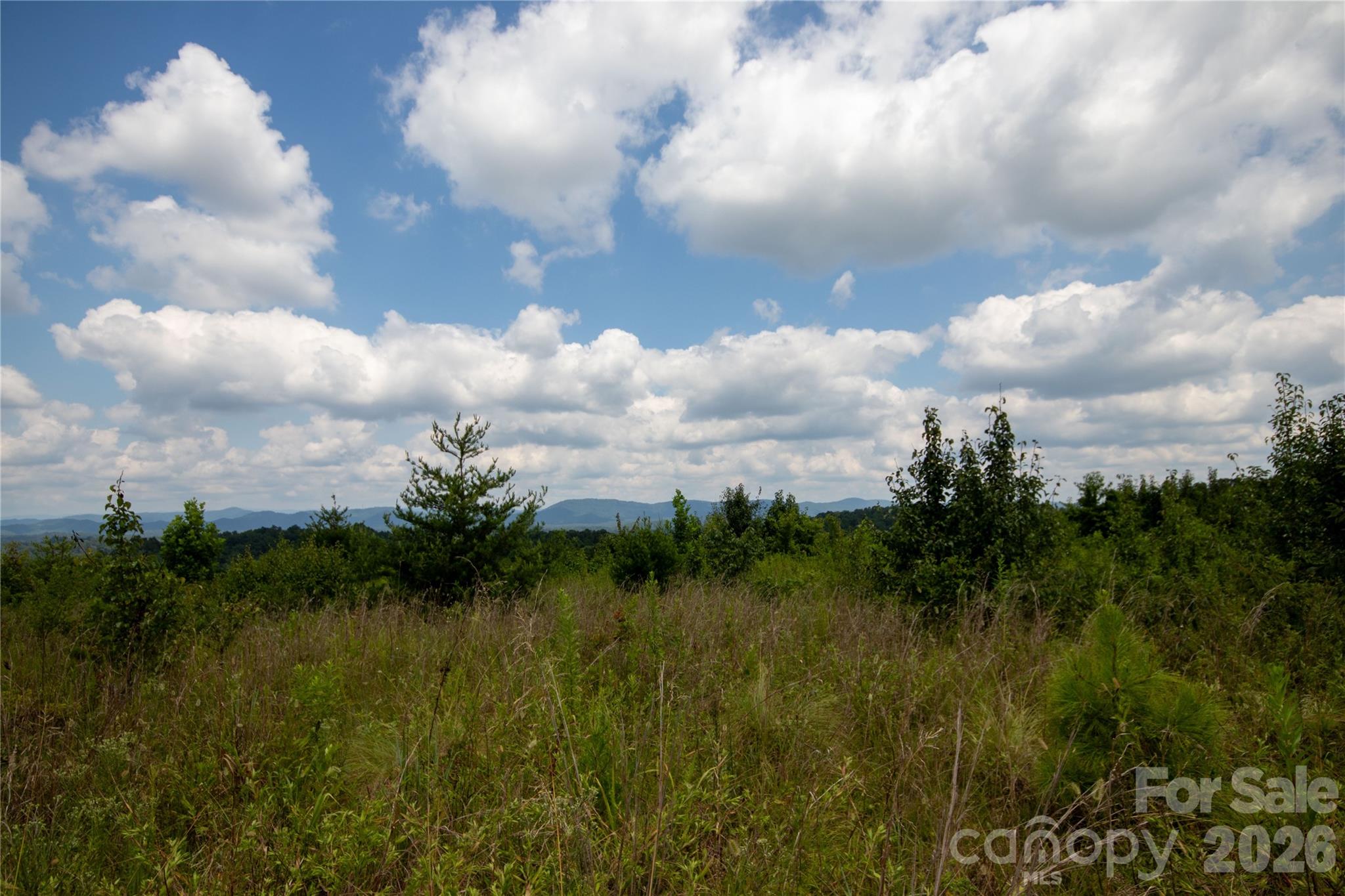 Unimproved Commercial at TBD Hickory Boulevard, Lenoir, photo 8 of 34