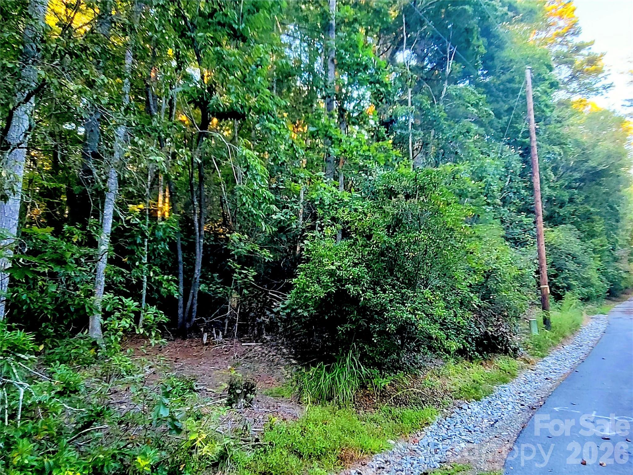 Acreage at 0 Joyful Lane, Hendersonville, photo 8 of 13