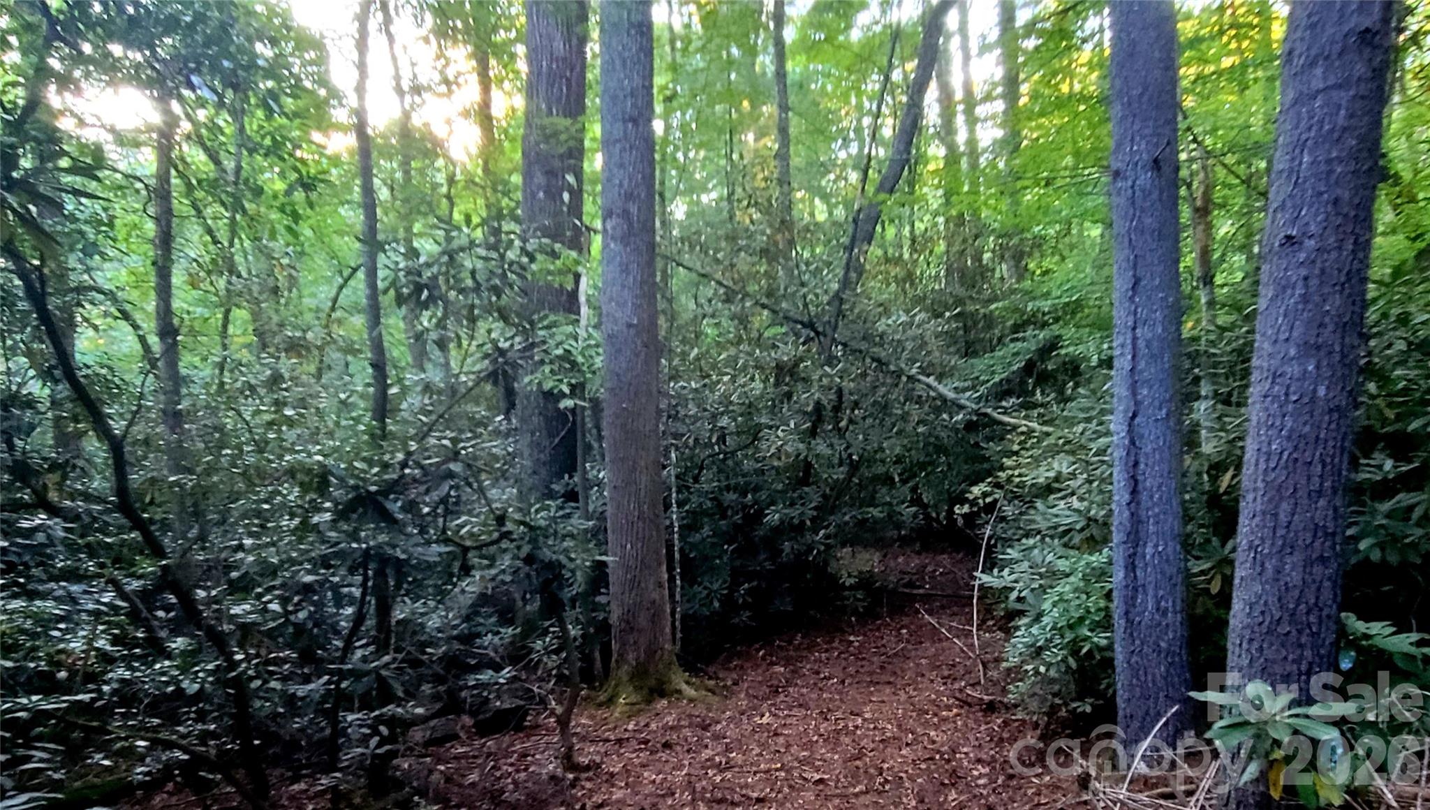 Acreage at 0 Joyful Lane, Hendersonville, photo 10 of 13