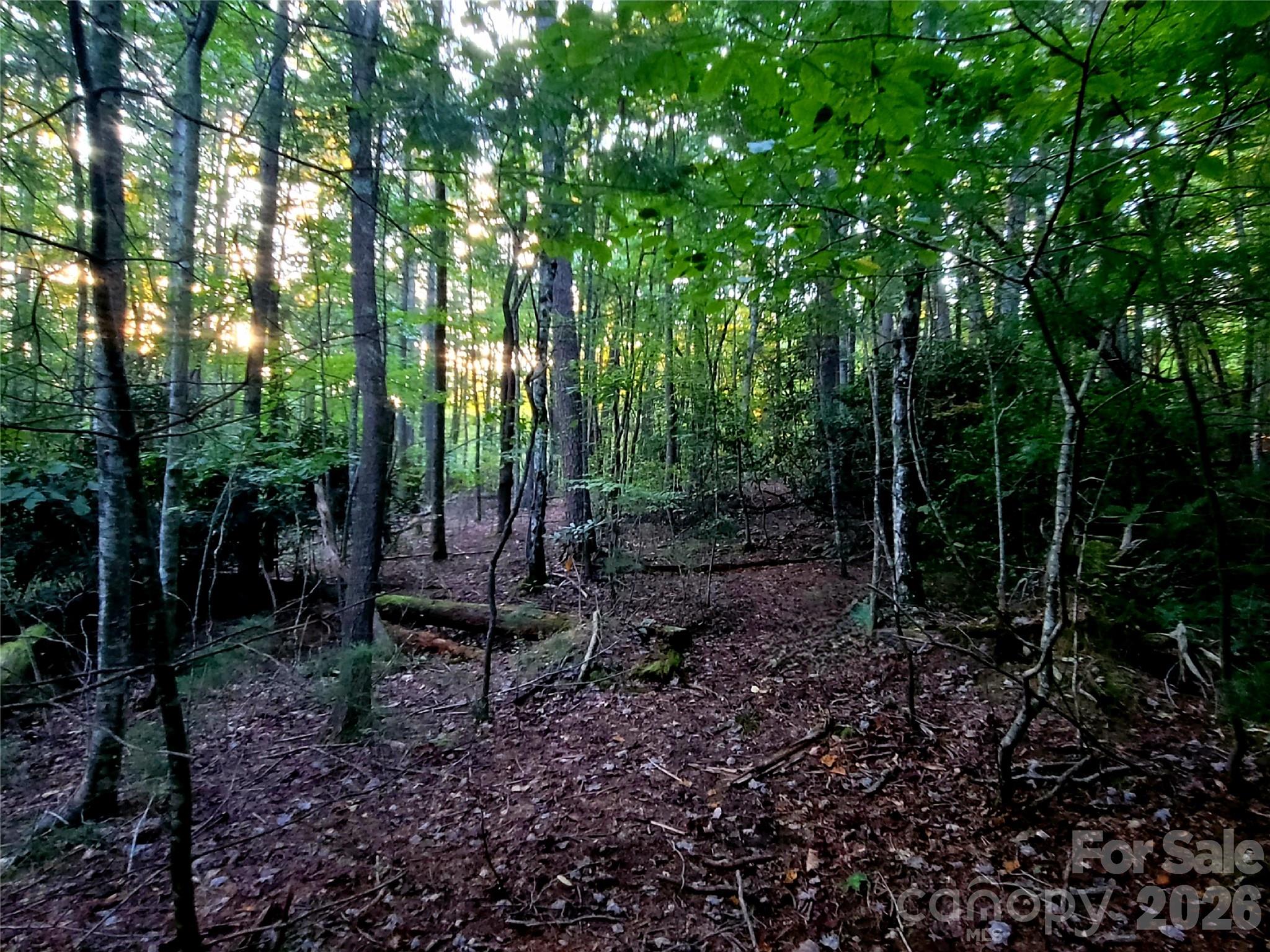 Acreage at 0 Joyful Lane, Hendersonville, photo 11 of 13