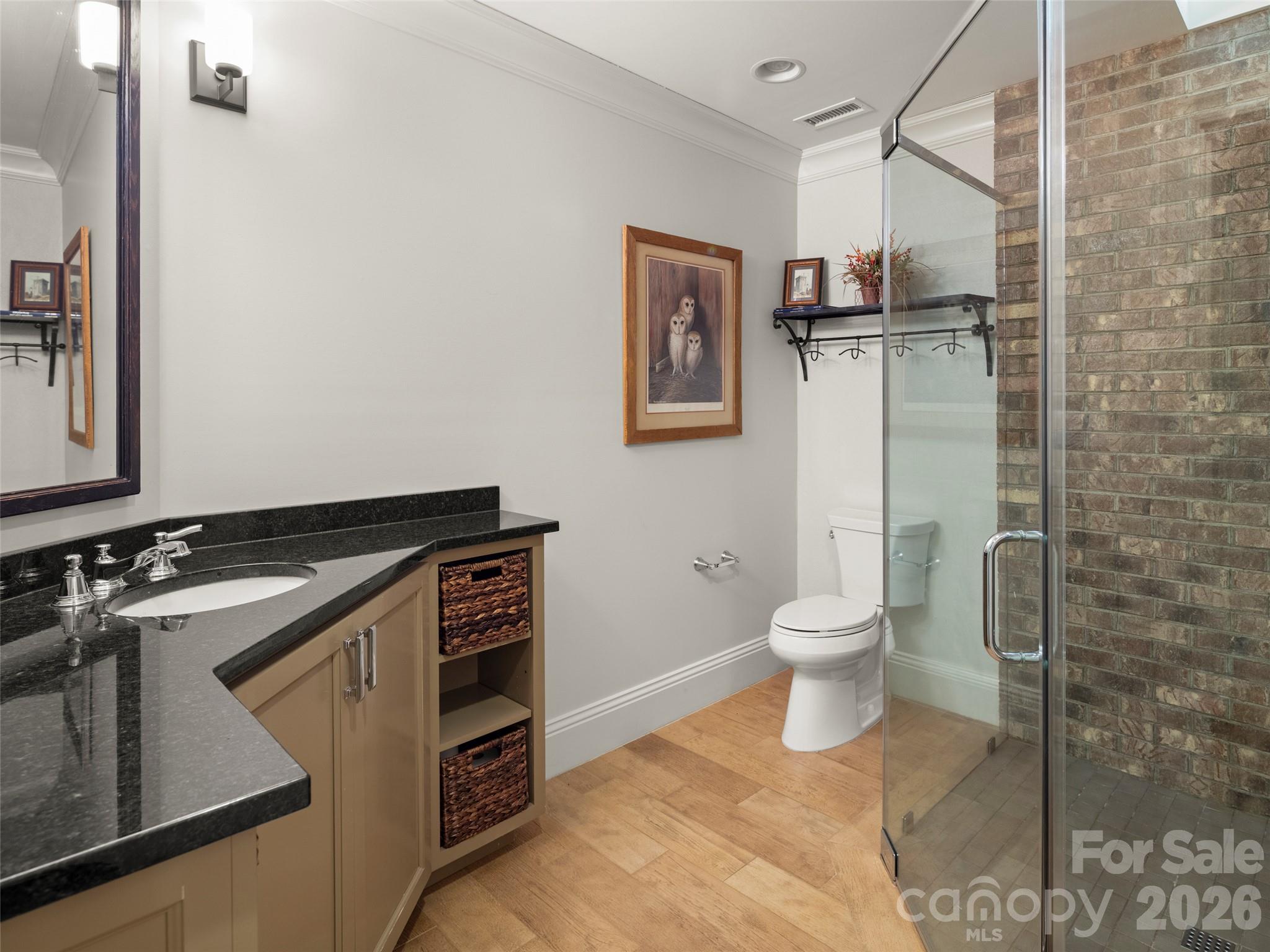 Lower Level Guest Bath 1 - 89 Emmas Grove Road, Fletcher