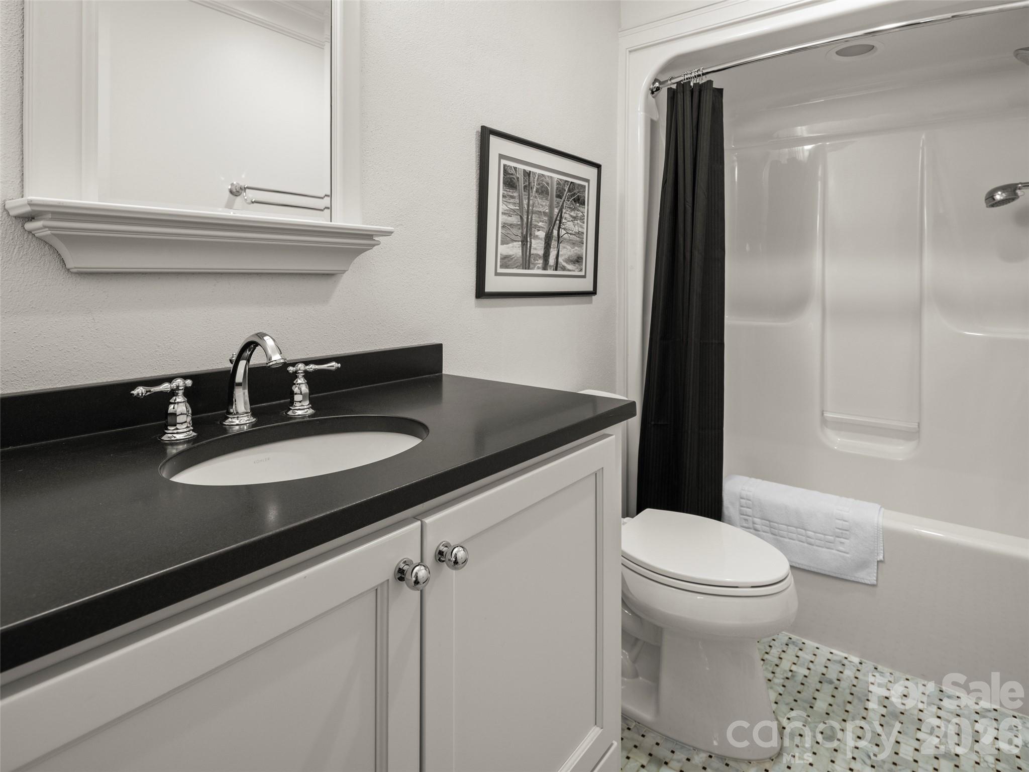 Lower Level Guest Bath 2 - 89 Emmas Grove Road, Fletcher
