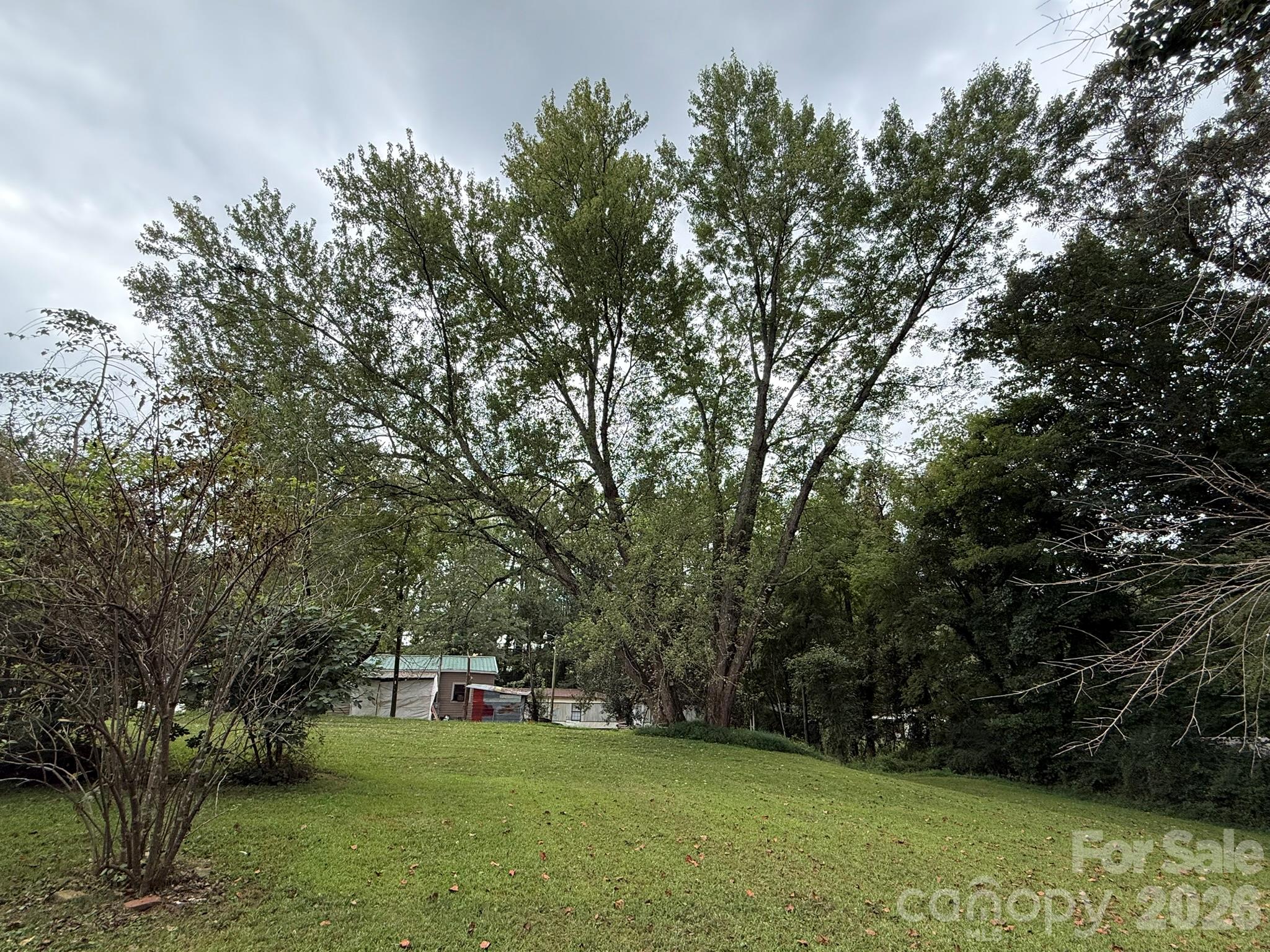 backyard from the side - 68 Morris Avenue, Marion