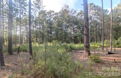 Acreage at 2127 Oldfield Road, Rock Hill, photo 2 of 6