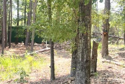 Box trailer - 2127 Oldfield Road, Rock Hill