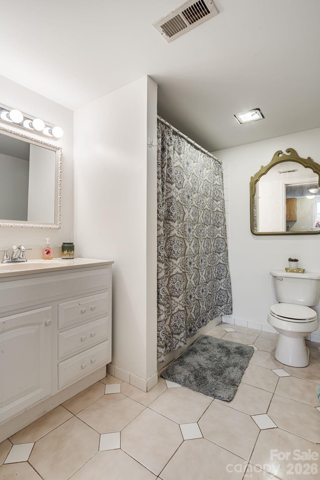 Bathroom on lower level / basement - 195 Whitmire Road, Brevard