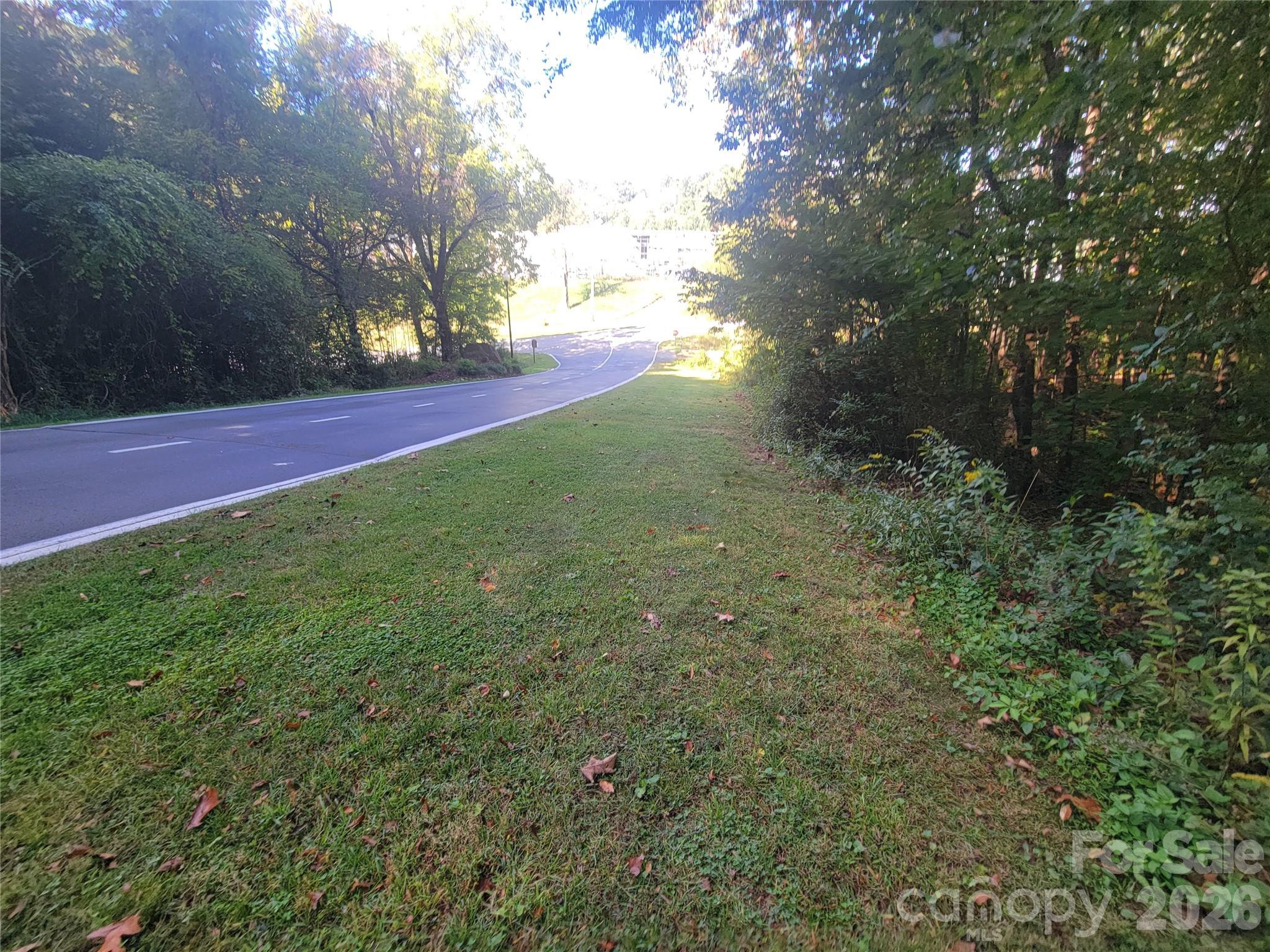 Acreage at 00 Liner Cove Road, Waynesville, photo 3 of 20