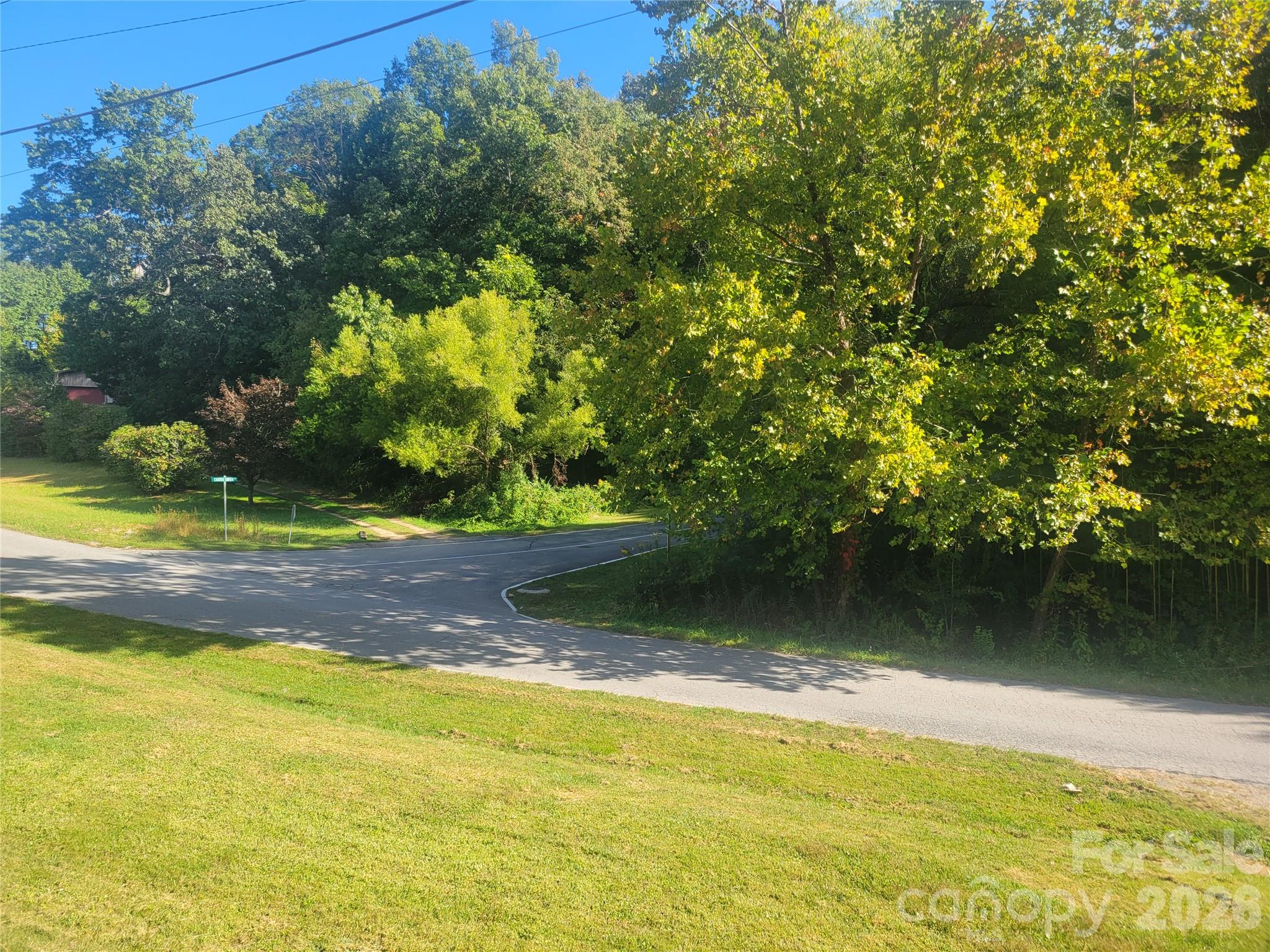 Acreage at 00 Liner Cove Road, Waynesville, photo 7 of 20