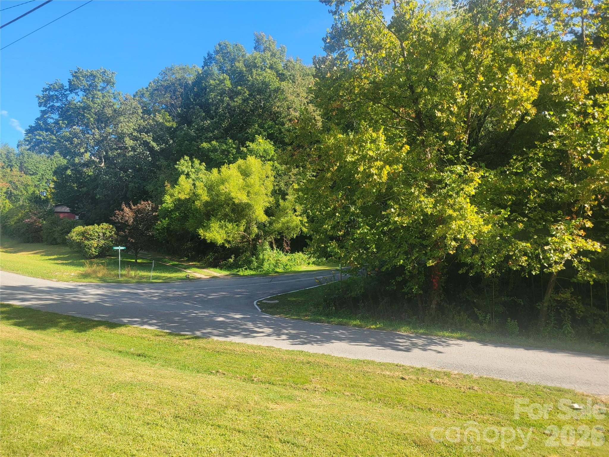 Acreage at 00 Liner Cove Road, Waynesville, photo 8 of 20