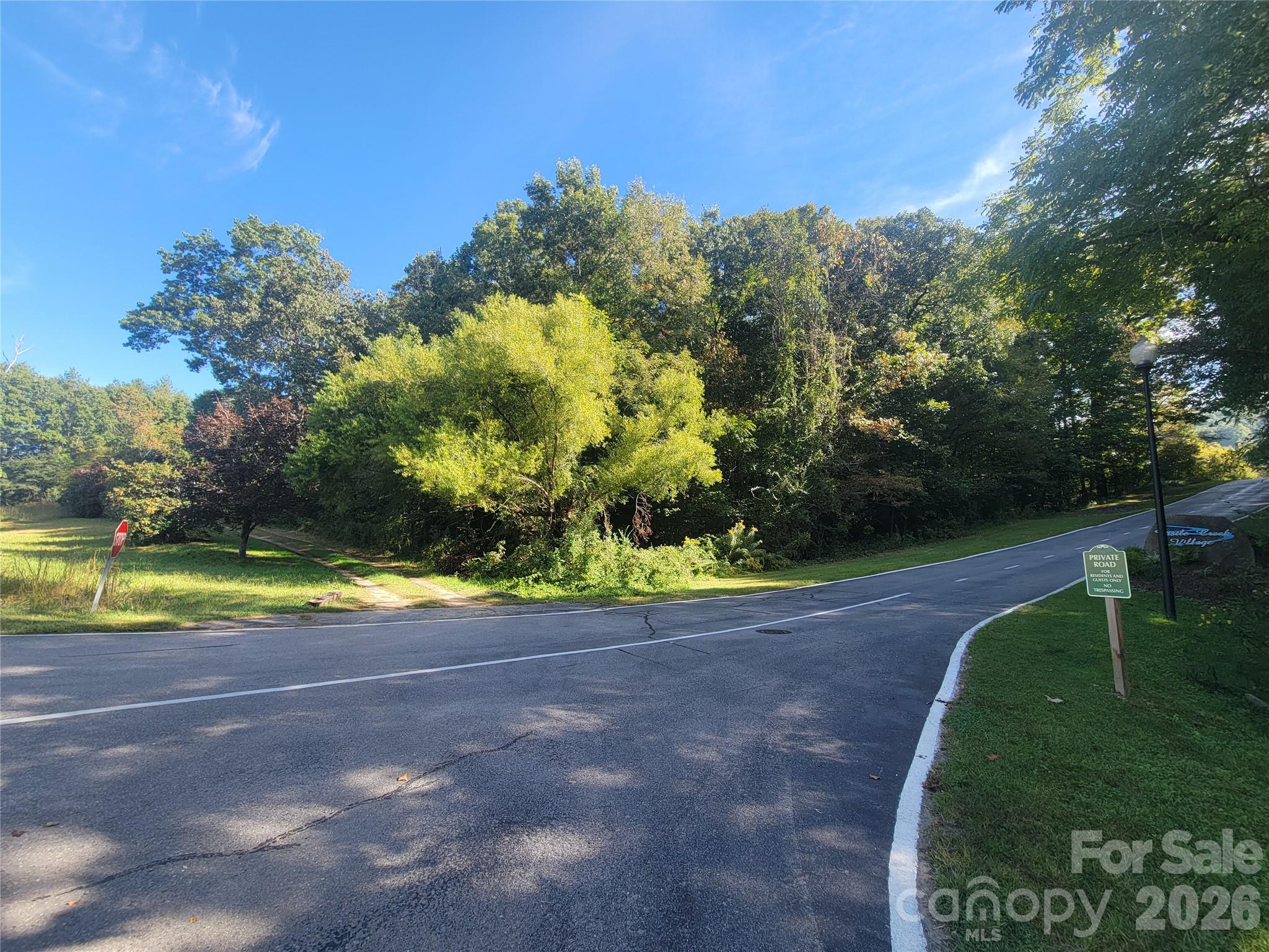 Acreage at 00 Liner Cove Road, Waynesville, photo 10 of 20