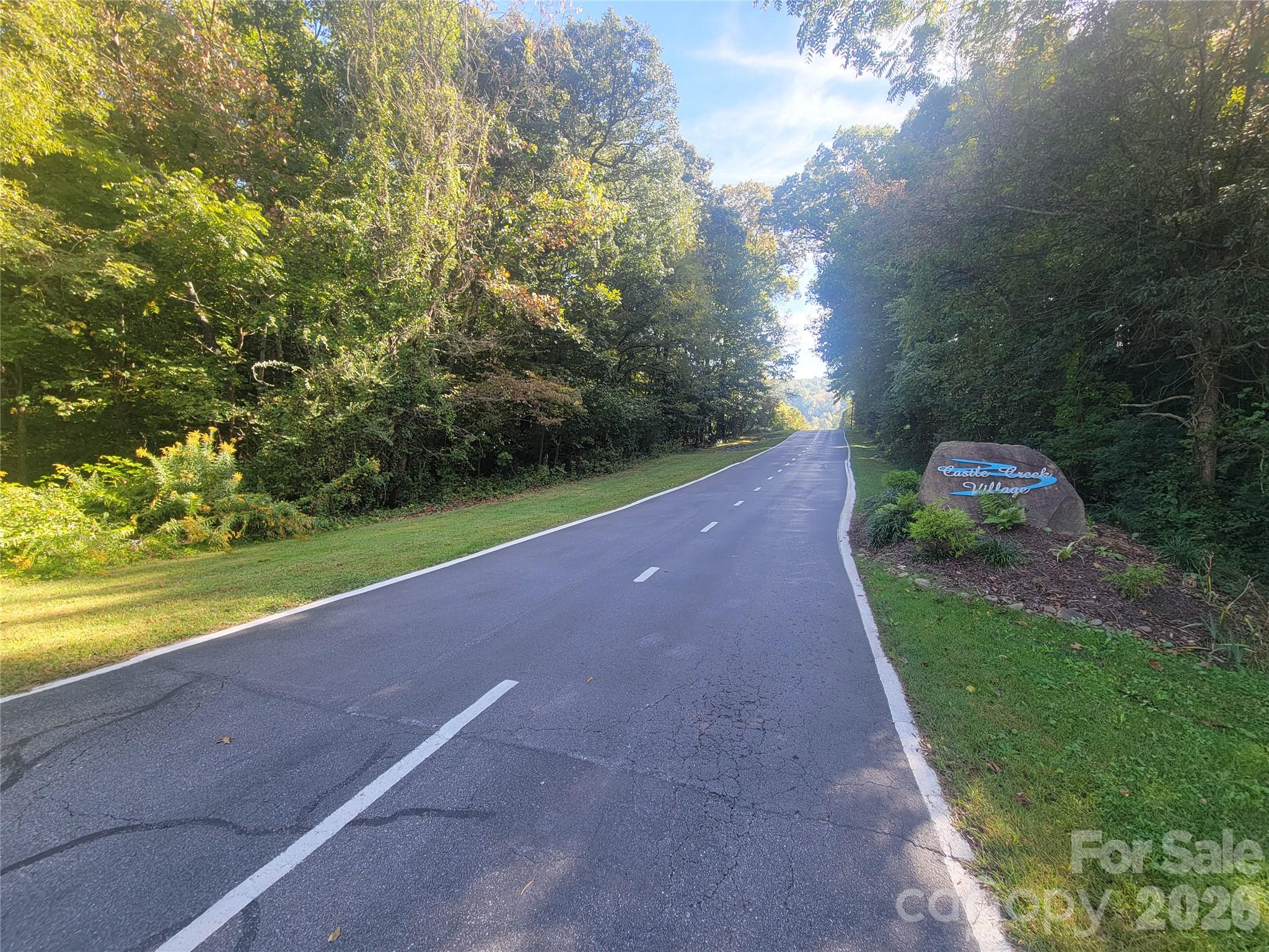 Acreage at 00 Liner Cove Road, Waynesville, photo 11 of 20