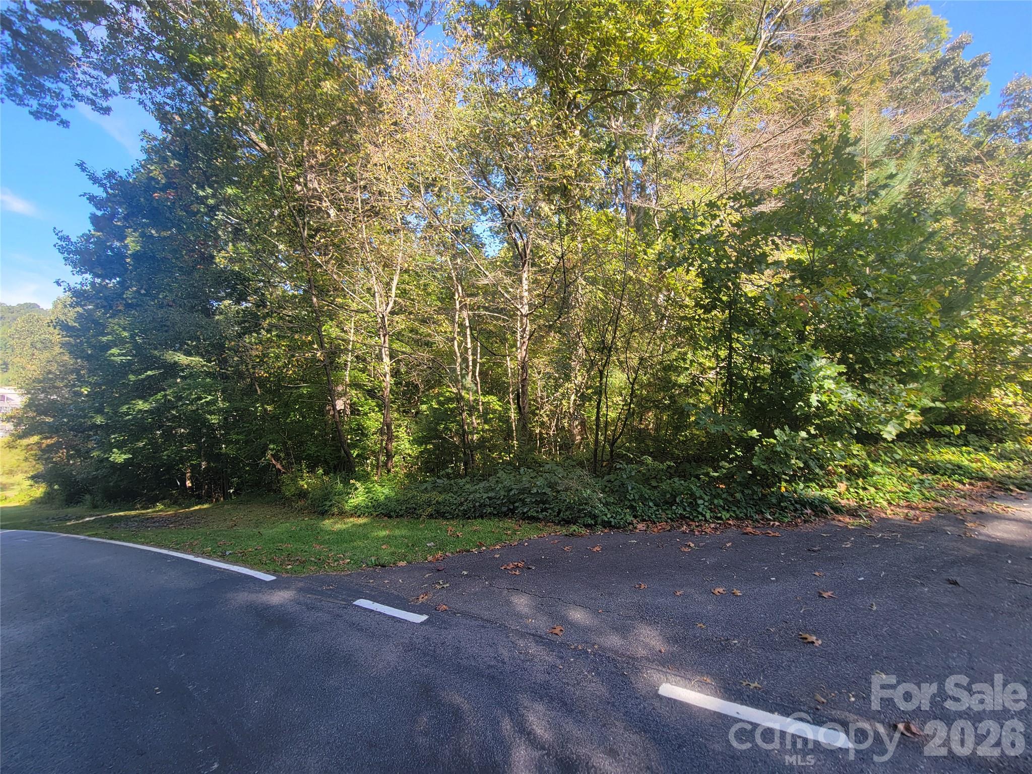 Acreage at 00 Liner Cove Road, Waynesville, photo 14 of 20