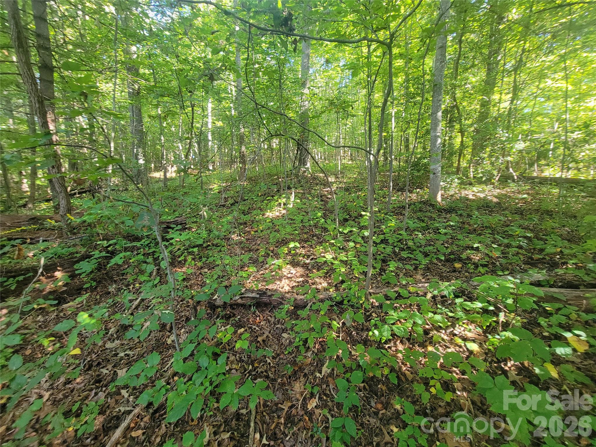 Acreage at 00 Liner Cove Road, Waynesville, photo 15 of 20