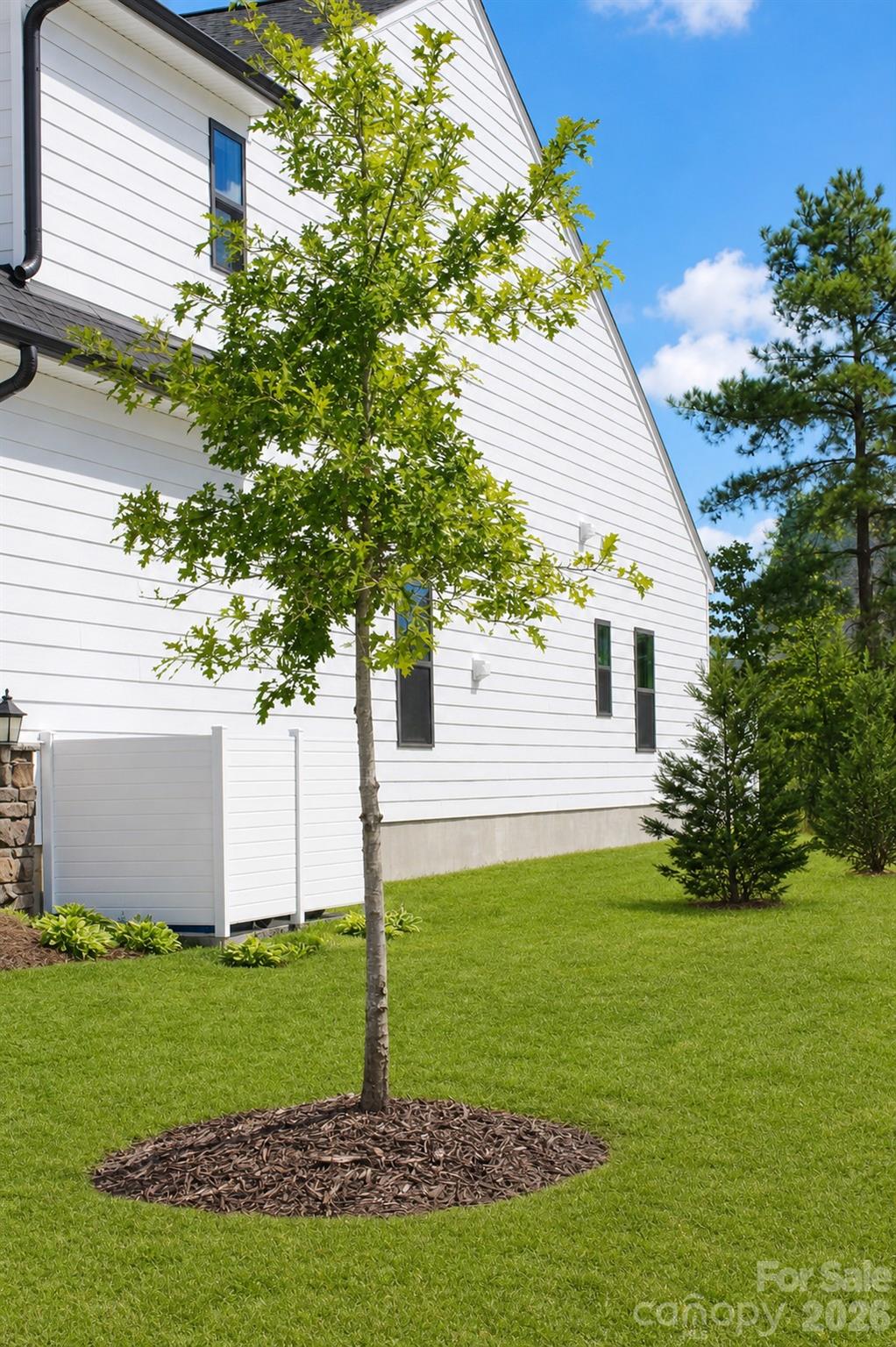 Outside Side View - 1502 Dennis Austin Lane, Indian Trail