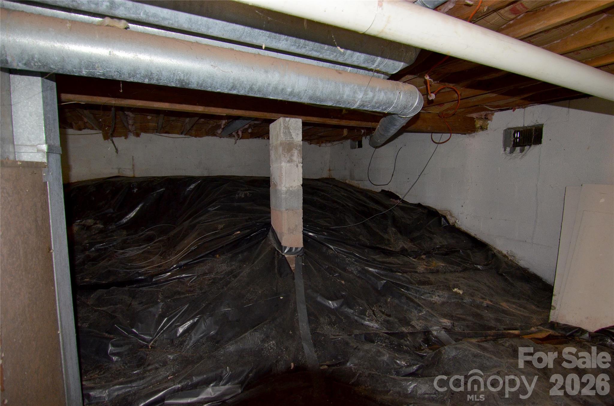Basement - 329 Morehead Road, Marion