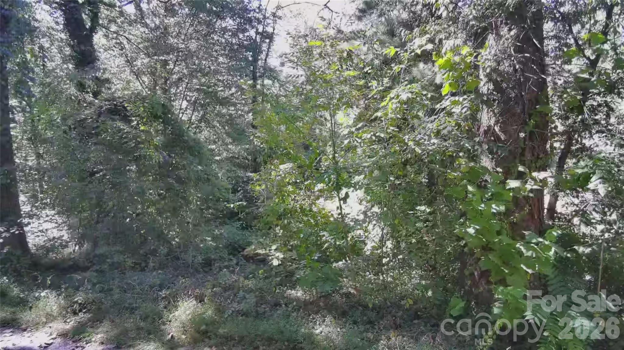 Lot at 99999 Roebling Circle, Asheville, photo 6 of 26