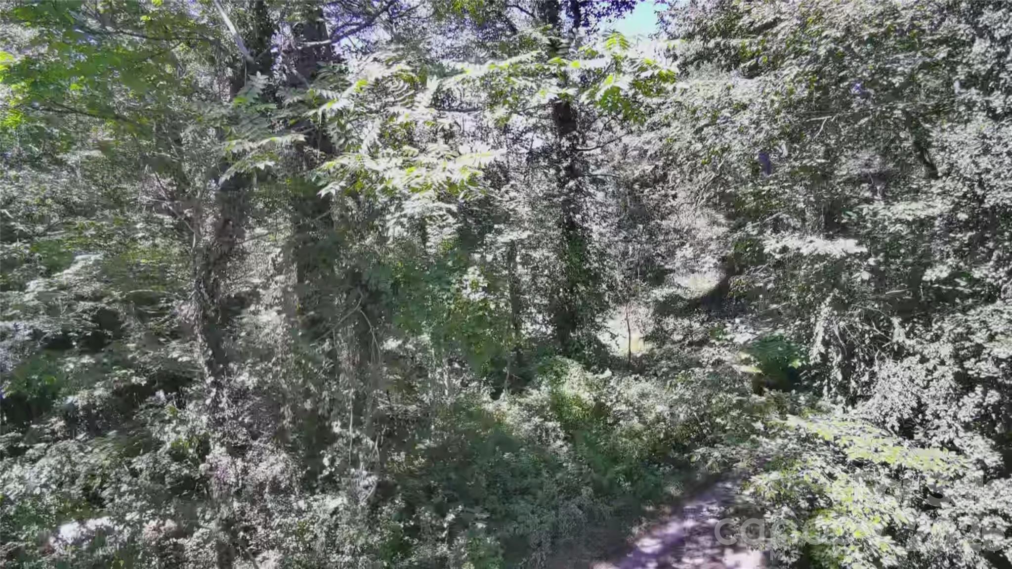 Lot at 99999 Roebling Circle, Asheville, photo 9 of 26