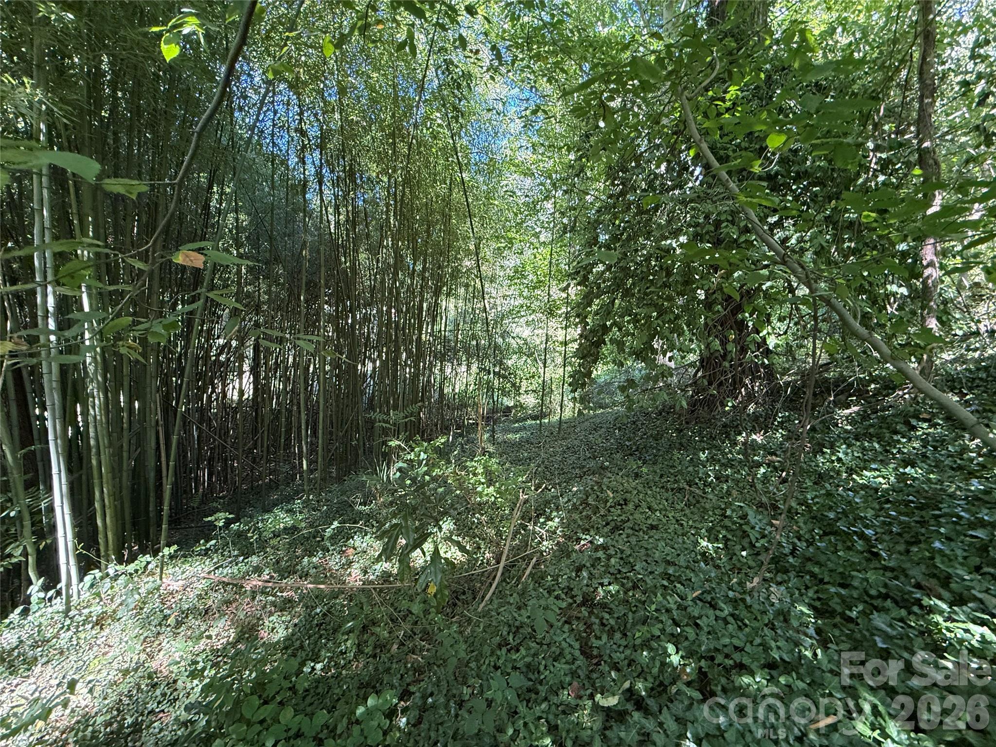Lot at 99999 Roebling Circle, Asheville, photo 12 of 26