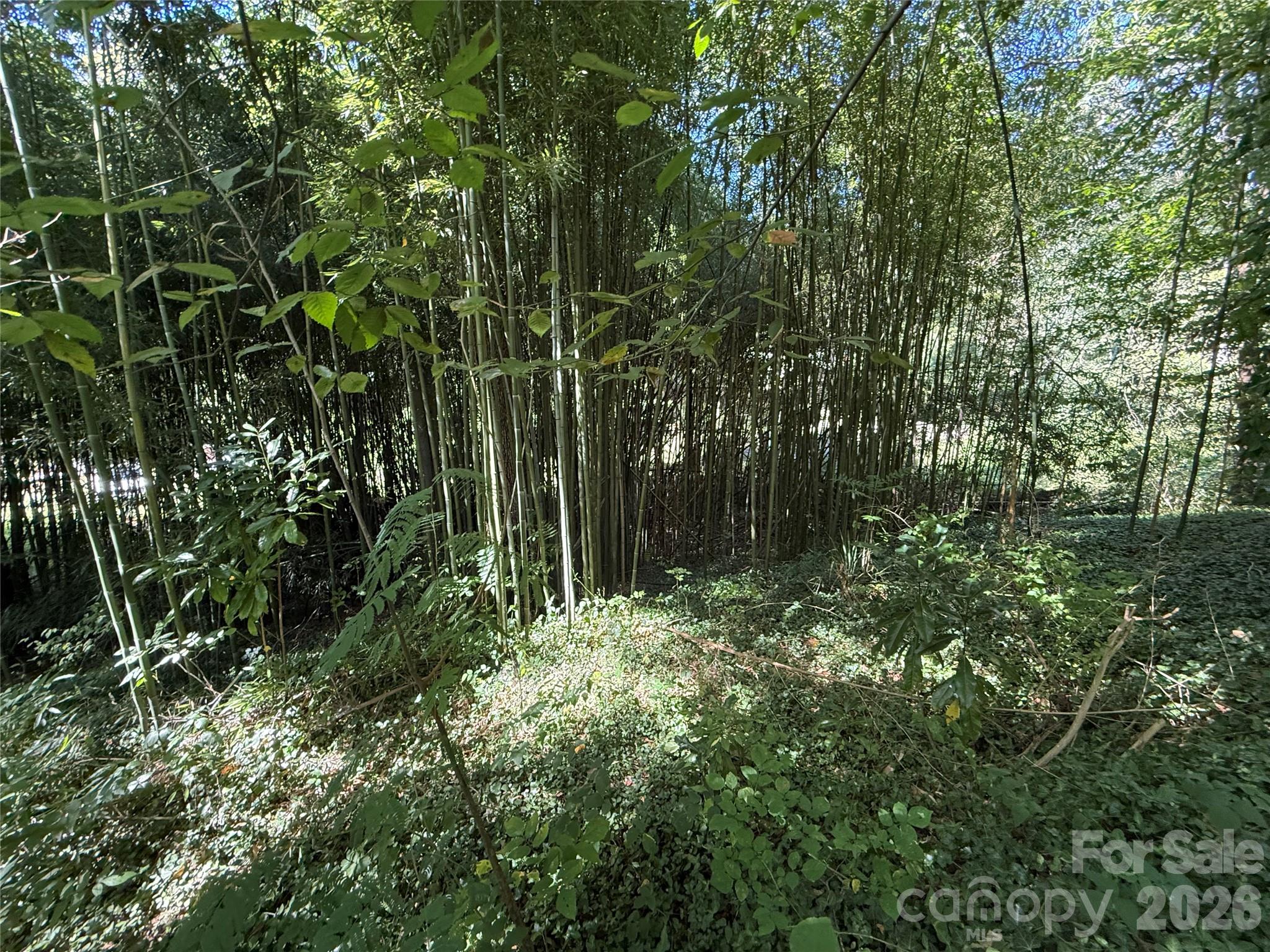 Lot at 99999 Roebling Circle, Asheville, photo 14 of 26