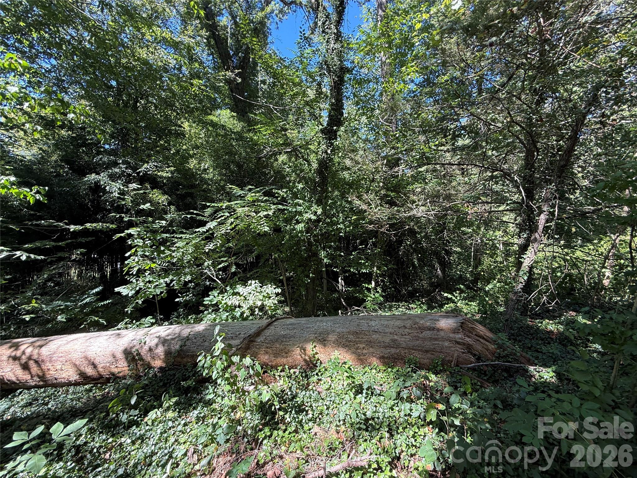 Lot at 99999 Roebling Circle, Asheville, photo 15 of 26