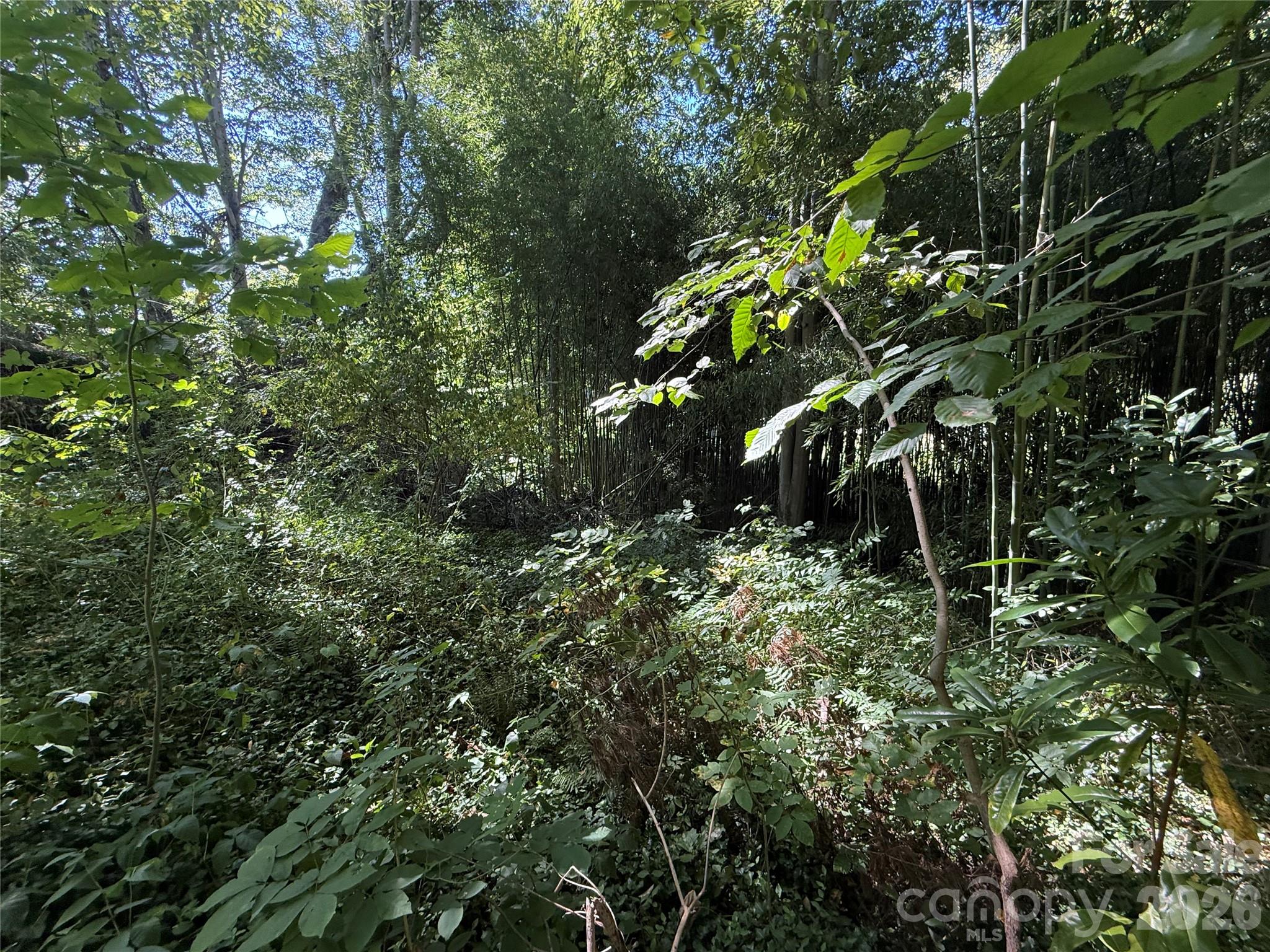 Lot at 99999 Roebling Circle, Asheville, photo 19 of 26