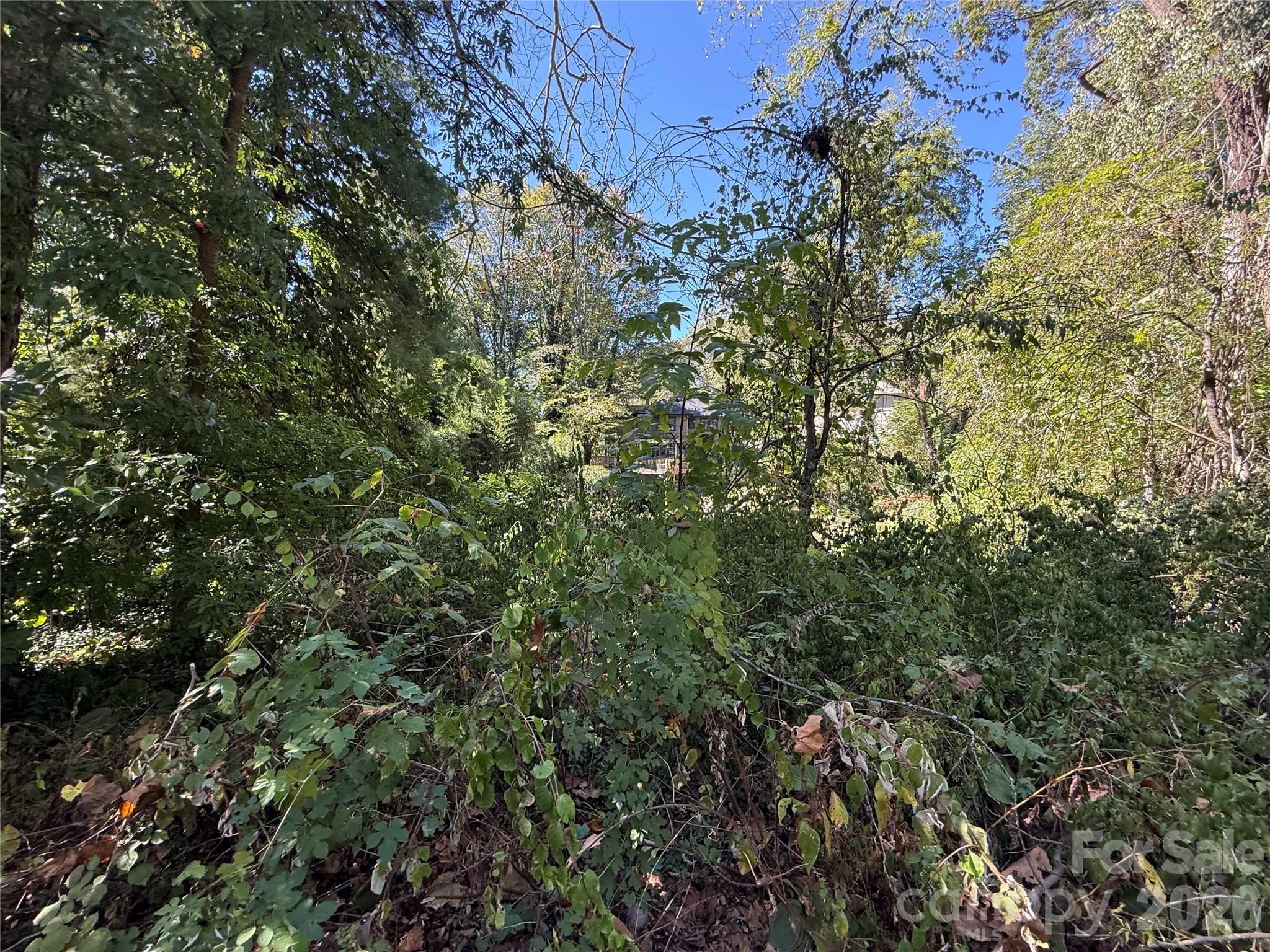 Lot at 99999 Roebling Circle, Asheville, photo 23 of 26