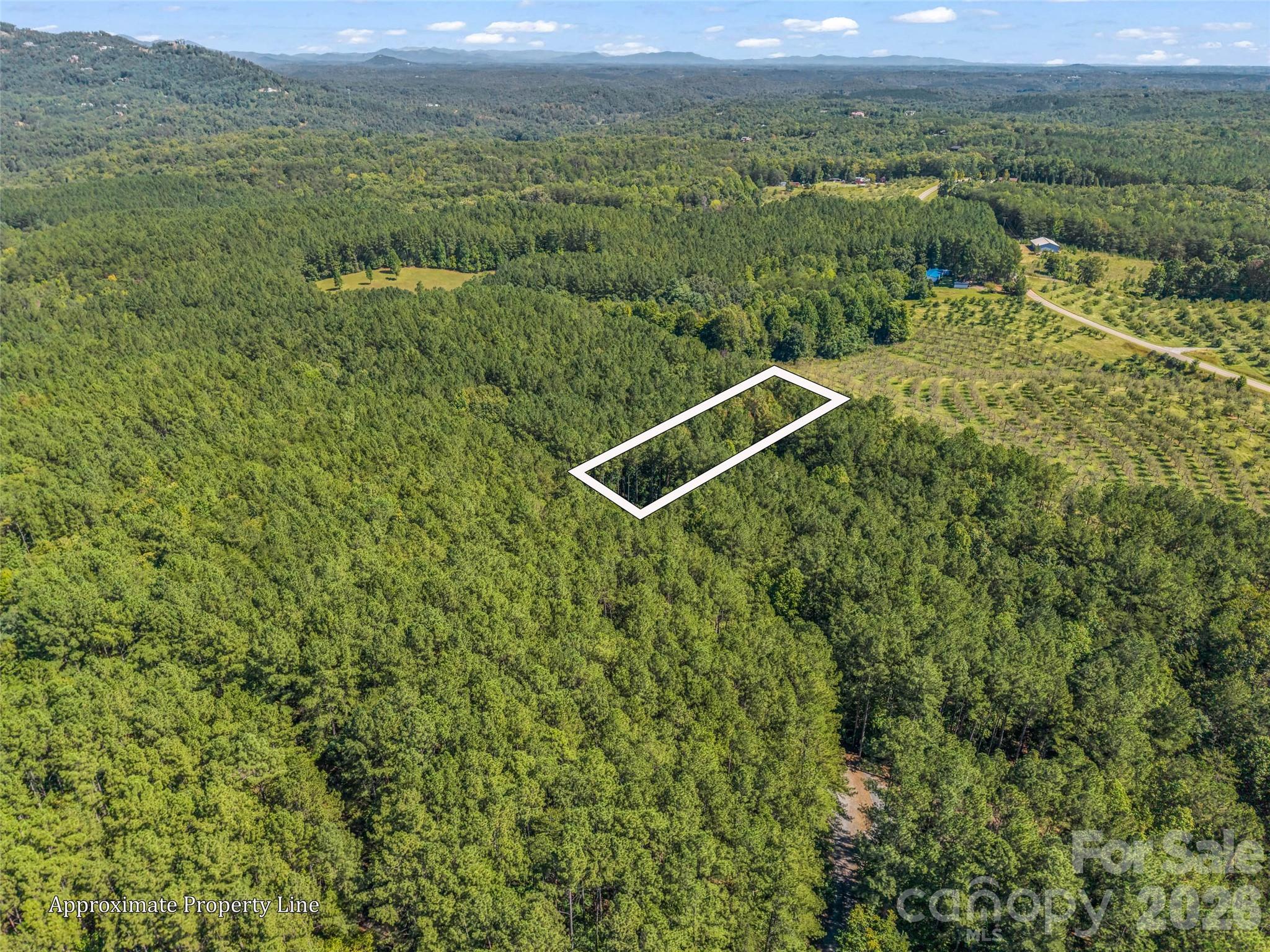 Single Family Residence at 168 Chasewood Drive, Rutherfordton, photo 38 of 40