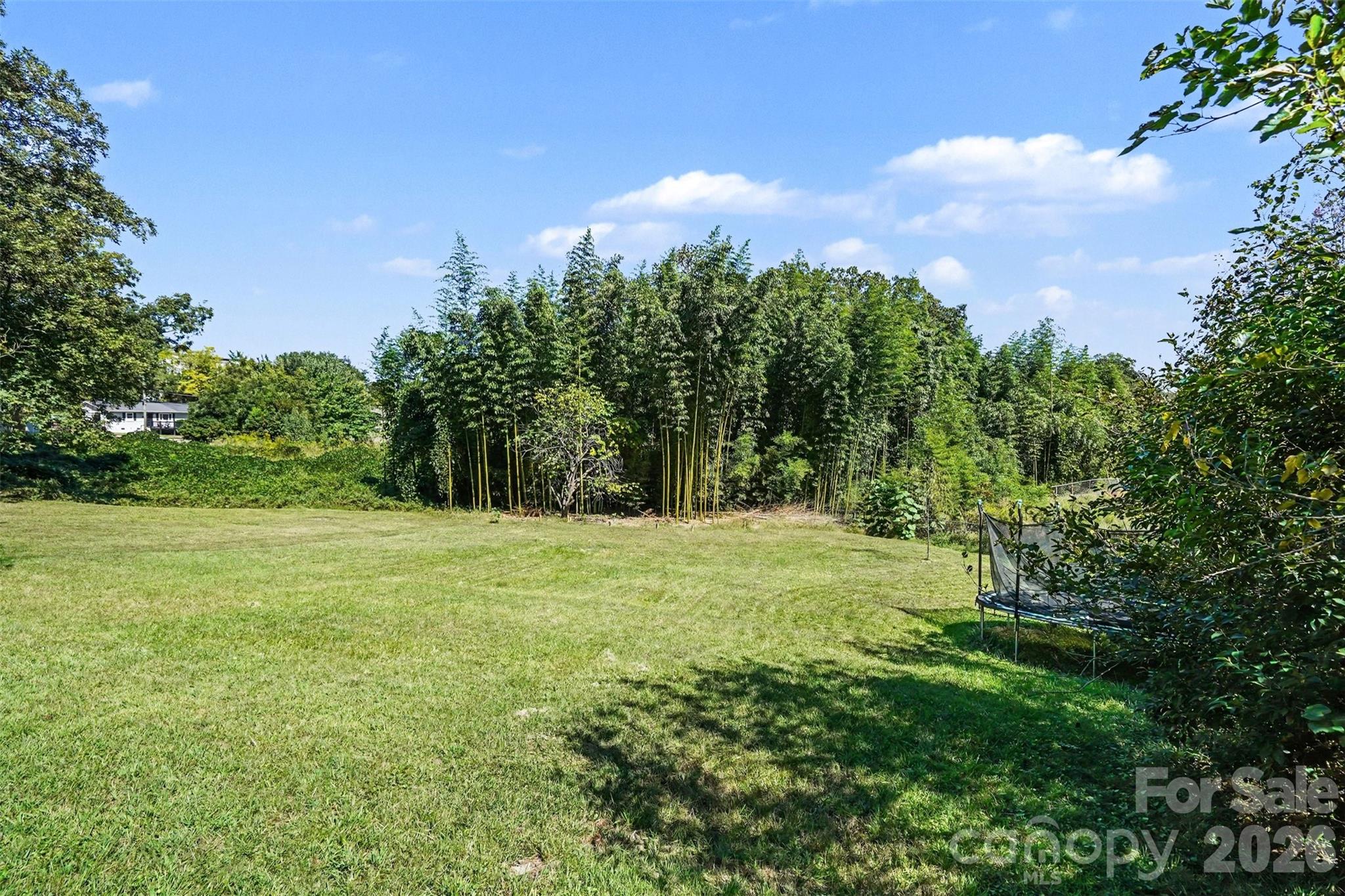 Large open Back yard - 224 E Catawba Avenue, Mooresville