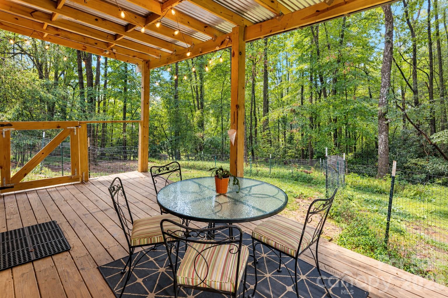 Don't miss this deck off the back of the side of the house - 19 Forge Drive, Mills River
