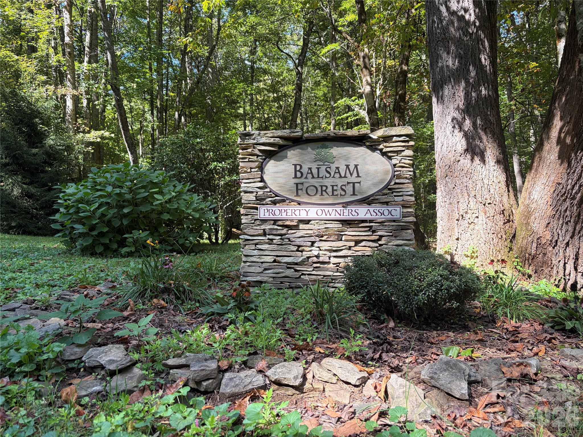 14 Fern Trail