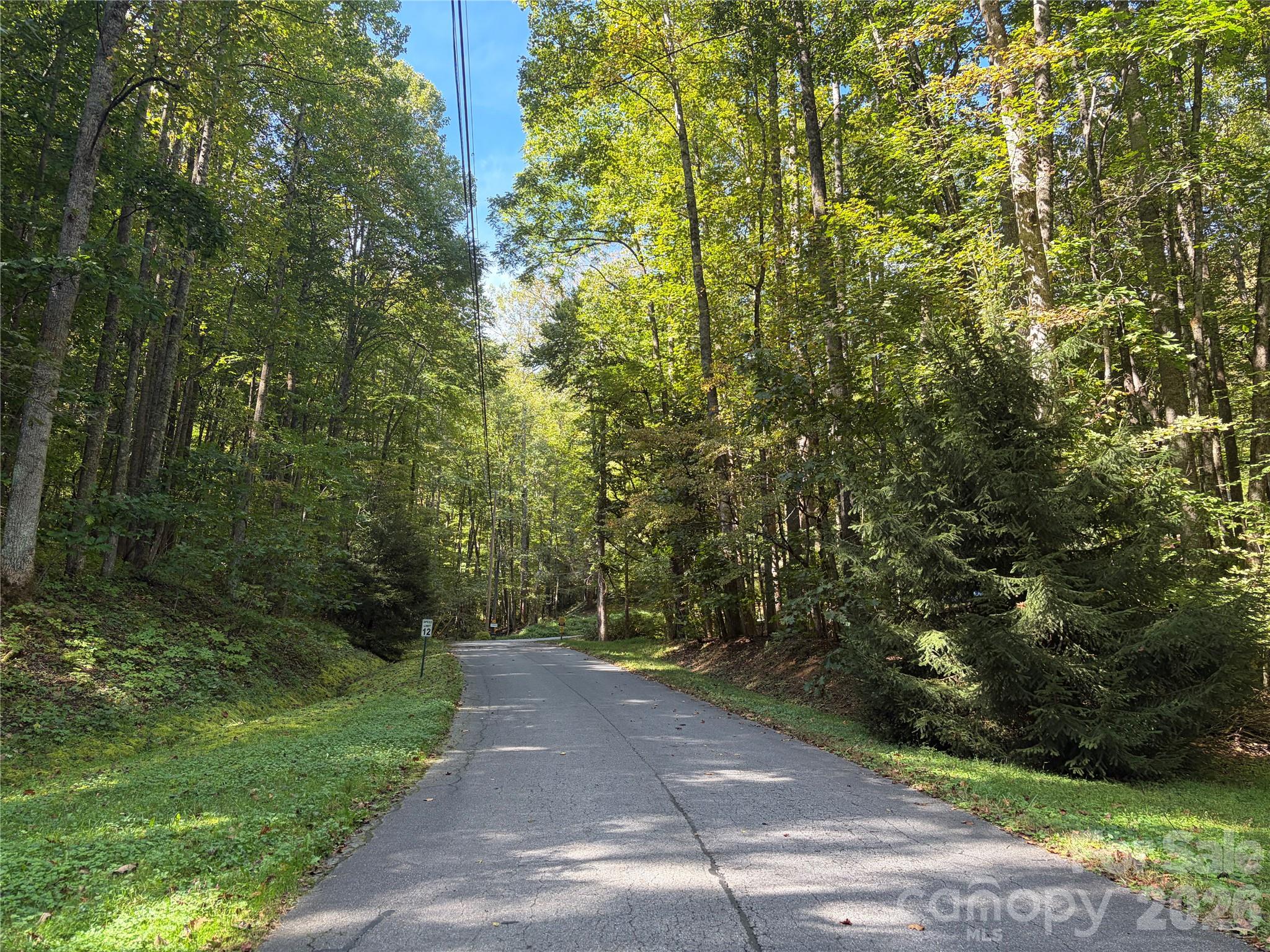 Road into development - 14 Fern Trail, Waynesville