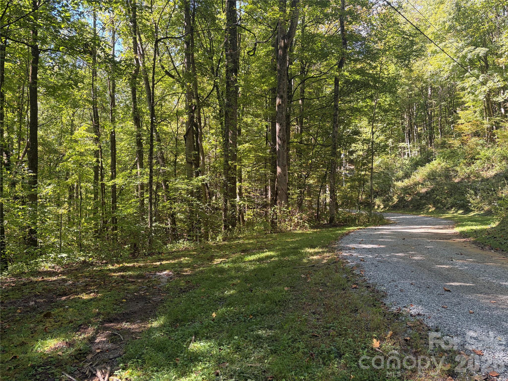 Gravel road to property edge (on left) - 14 Fern Trail, Waynesville