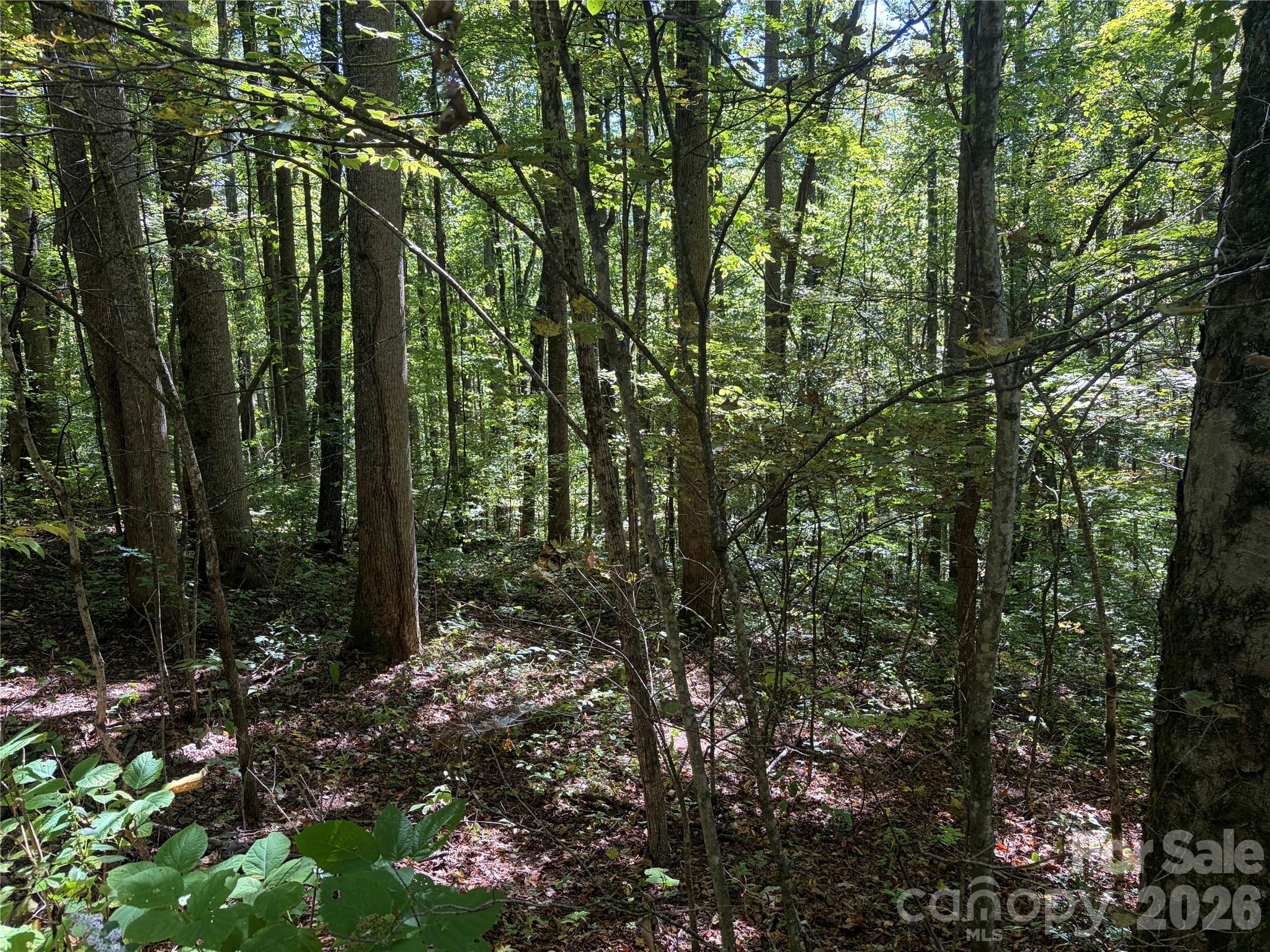 Slightly sloped lot with two placements for dwellings. - 14 Fern Trail, Waynesville