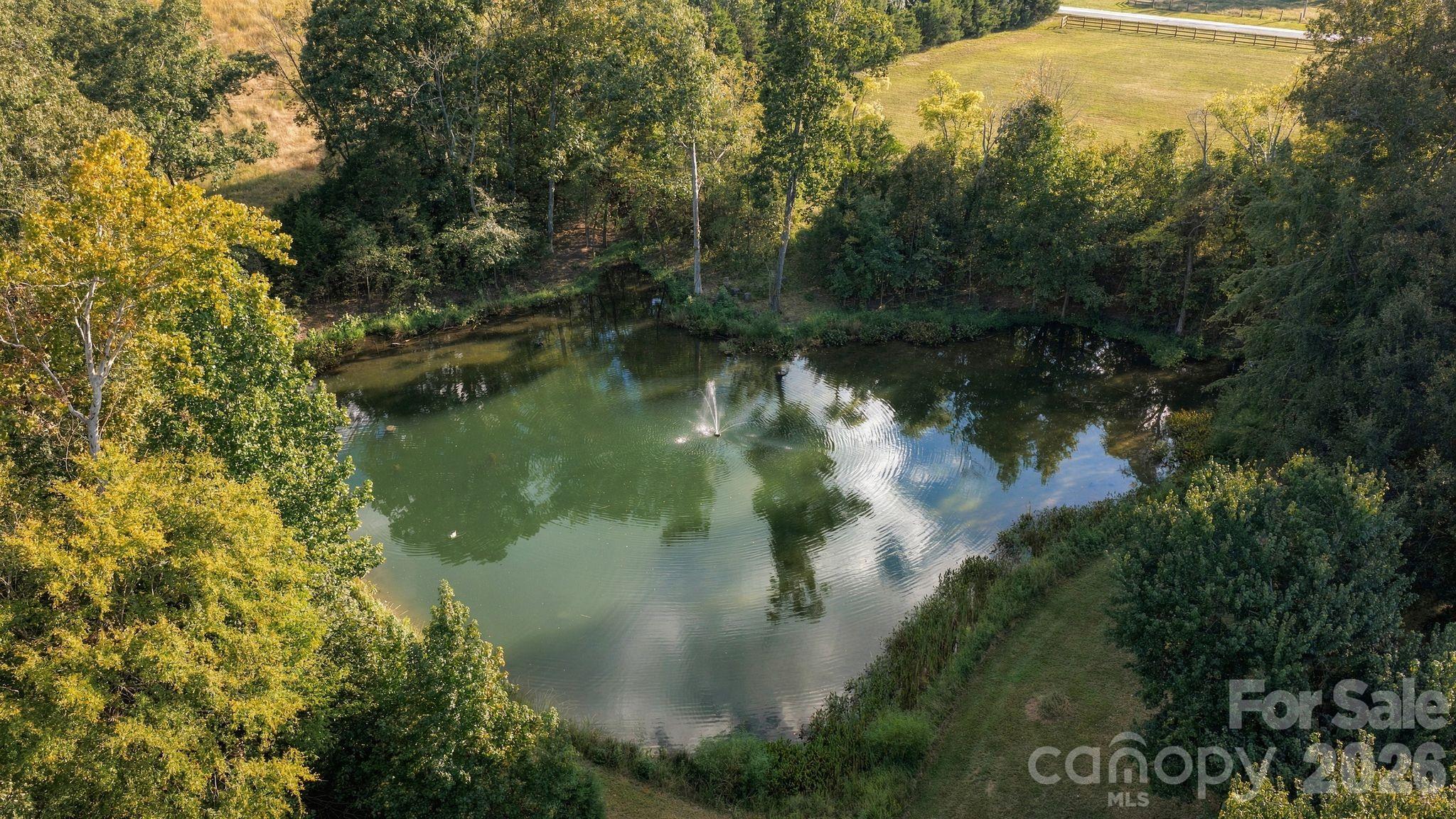 Private pond stocked with Bass and Blue Gill - 7275 Flowes Store Road, Concord